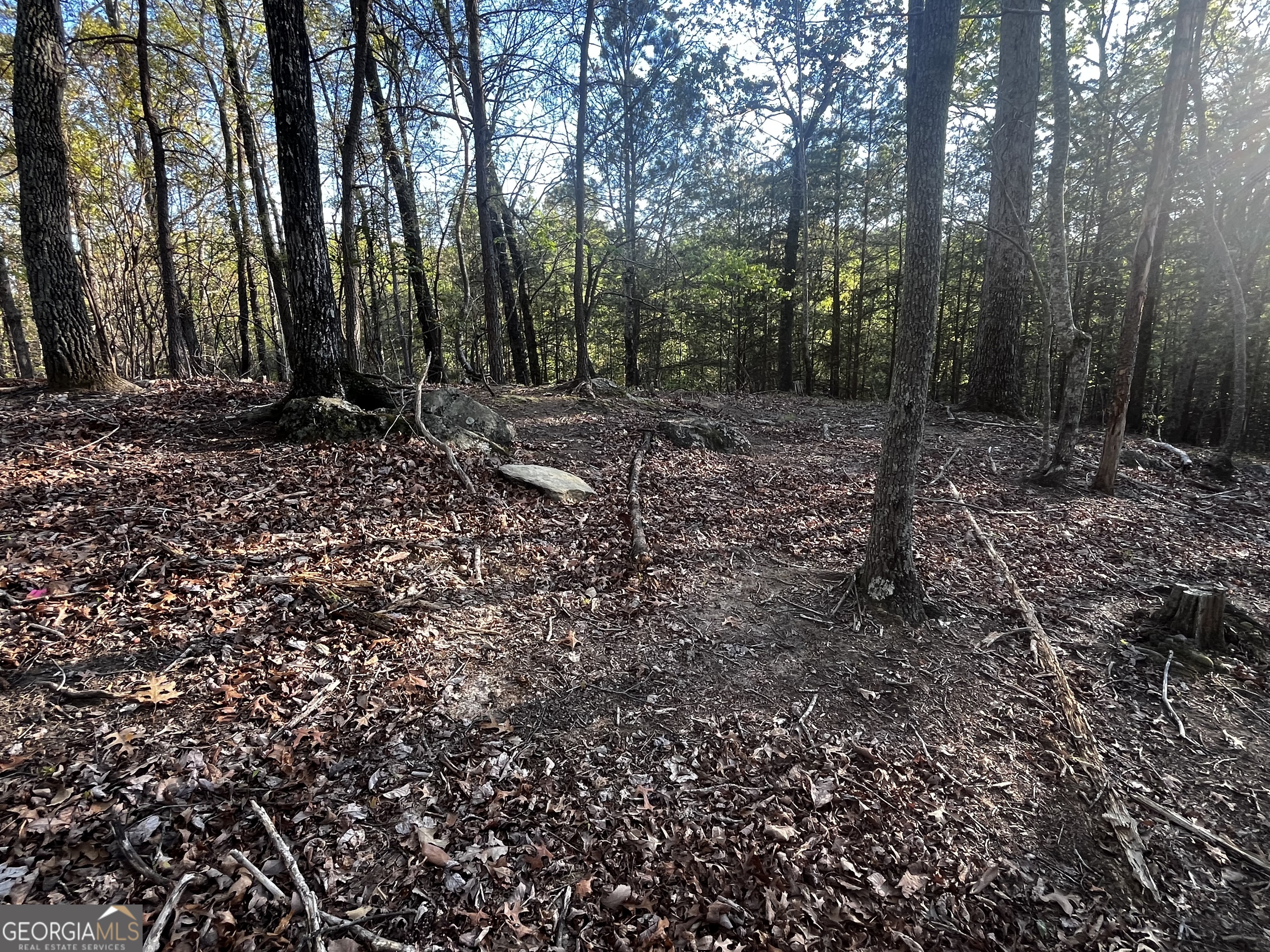 130 Lakeview Walk Baldwin GA 30511