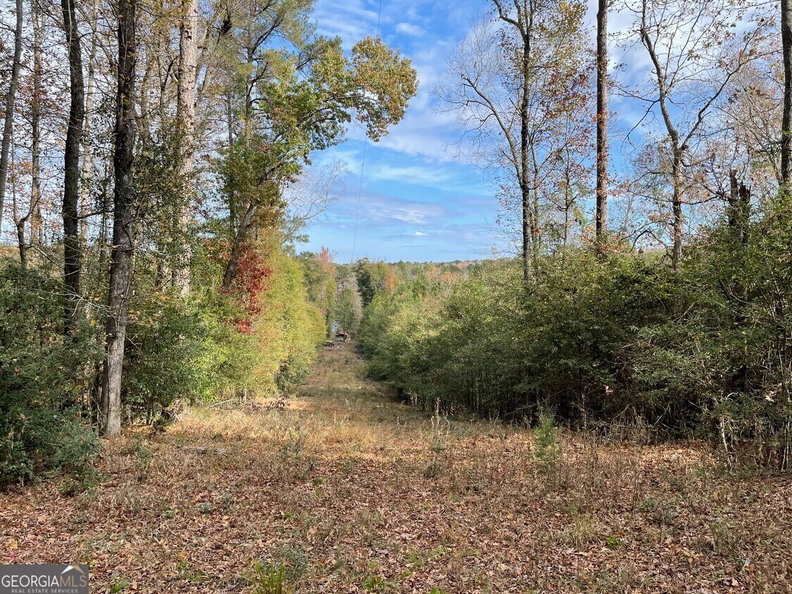 1775 Brown Road Hephzibah GA 30815
