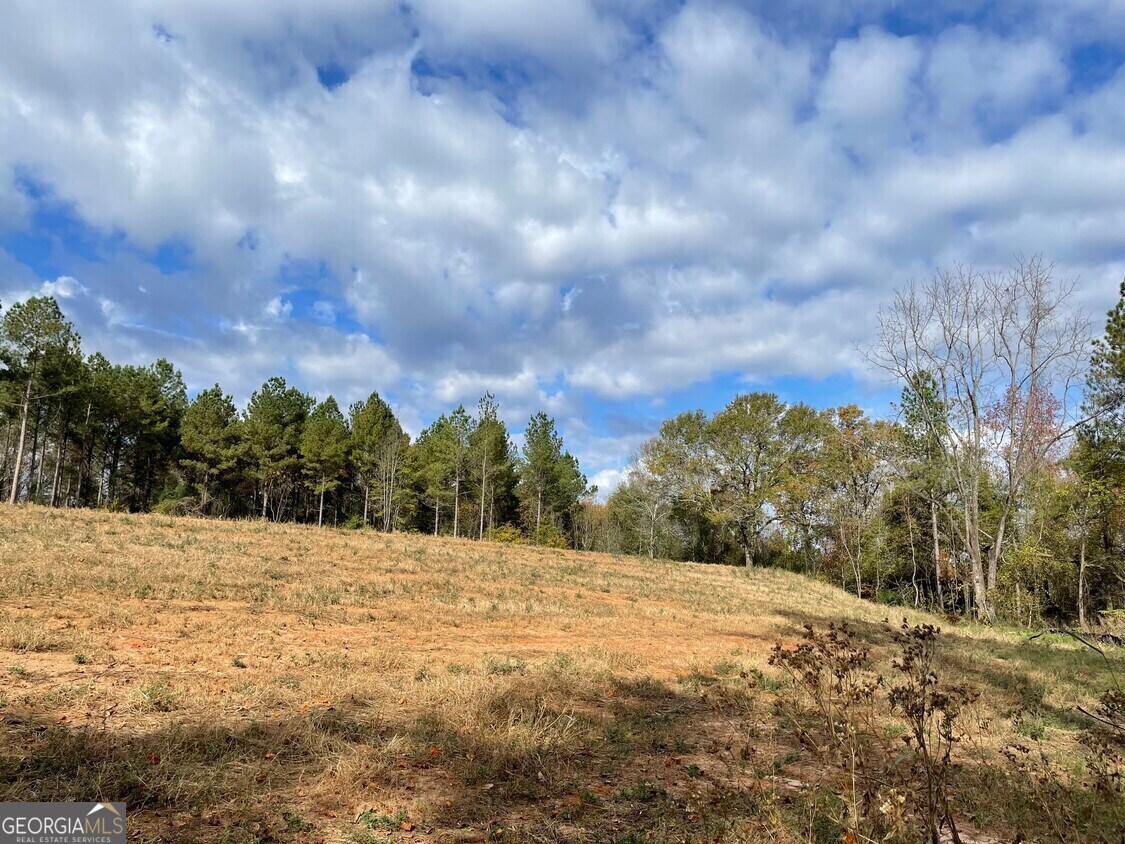 1775 Brown Road Hephzibah GA 30815