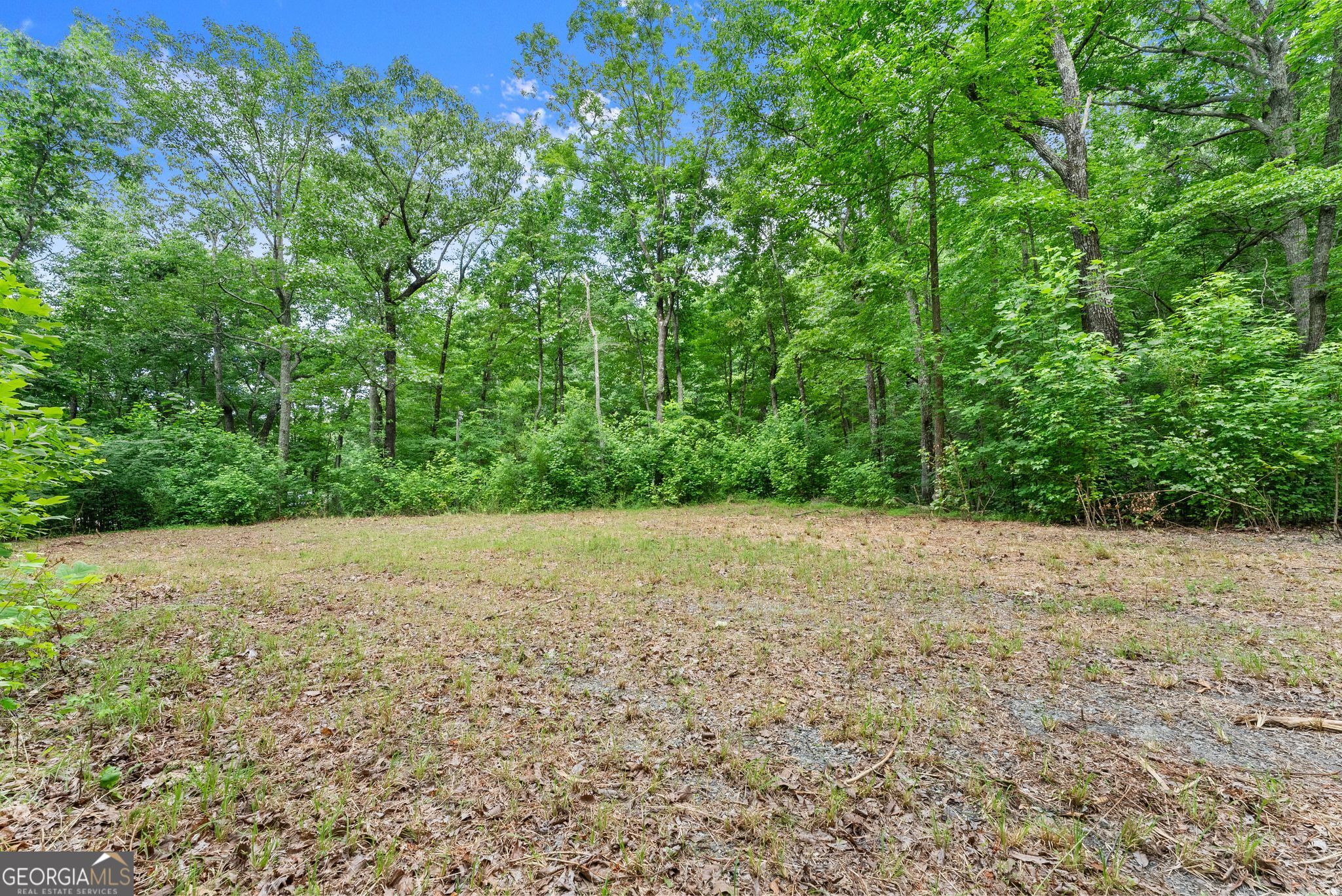 0 Wauka Ridge Road Clermont GA 30527