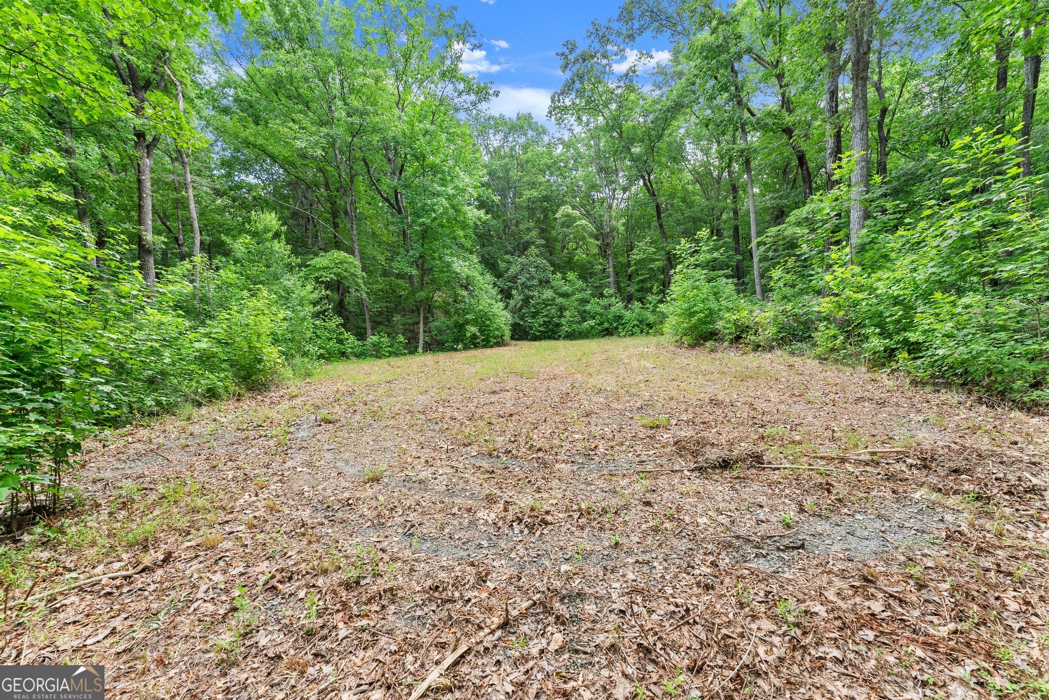 0 Wauka Ridge Road Clermont GA 30527