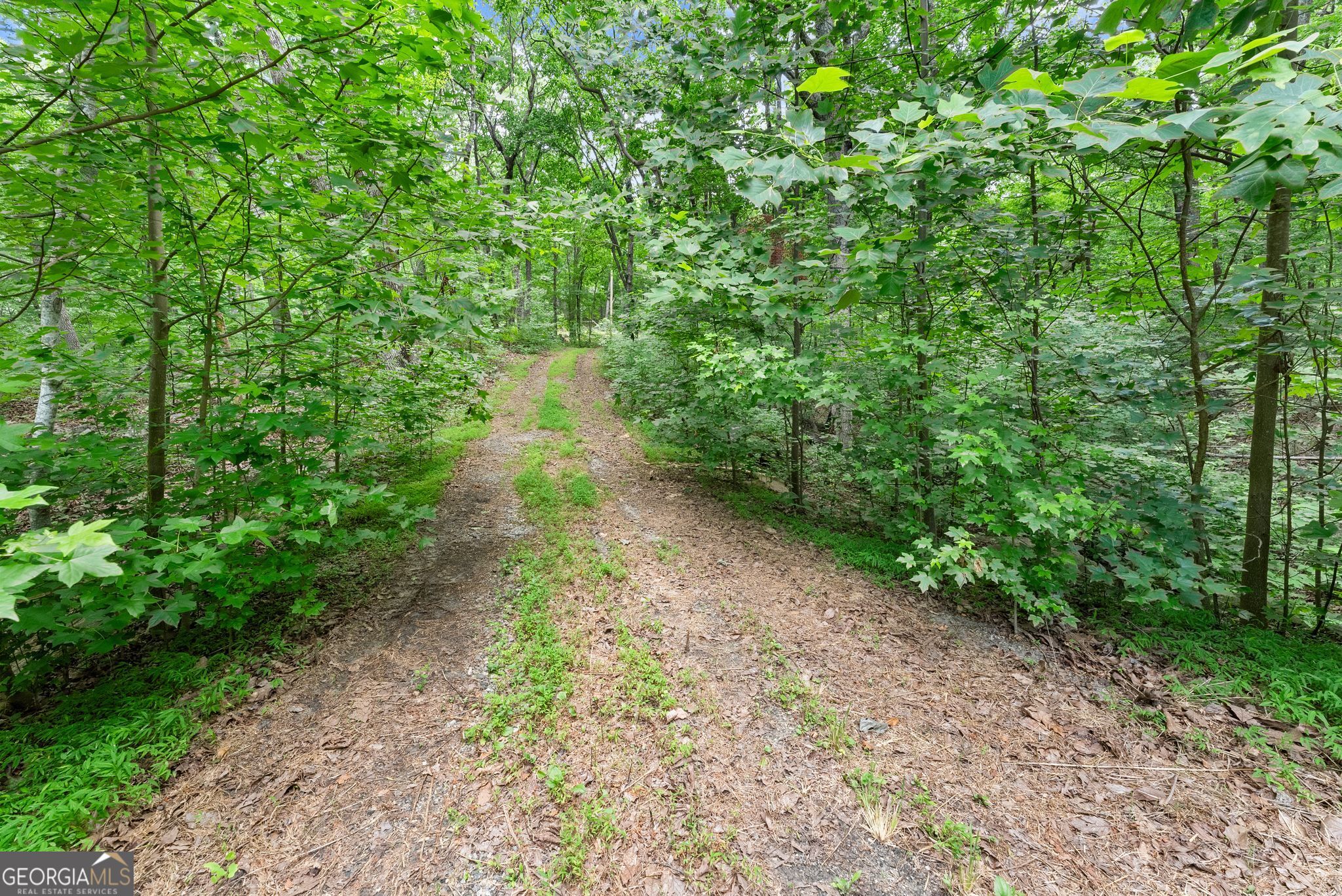 0 Wauka Ridge Road Clermont GA 30527