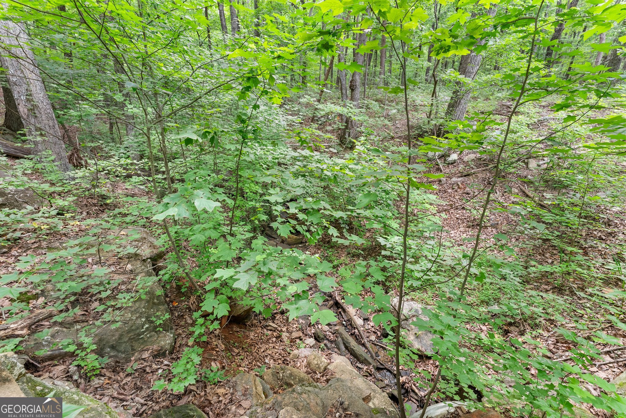 0 Wauka Ridge Road Clermont GA 30527
