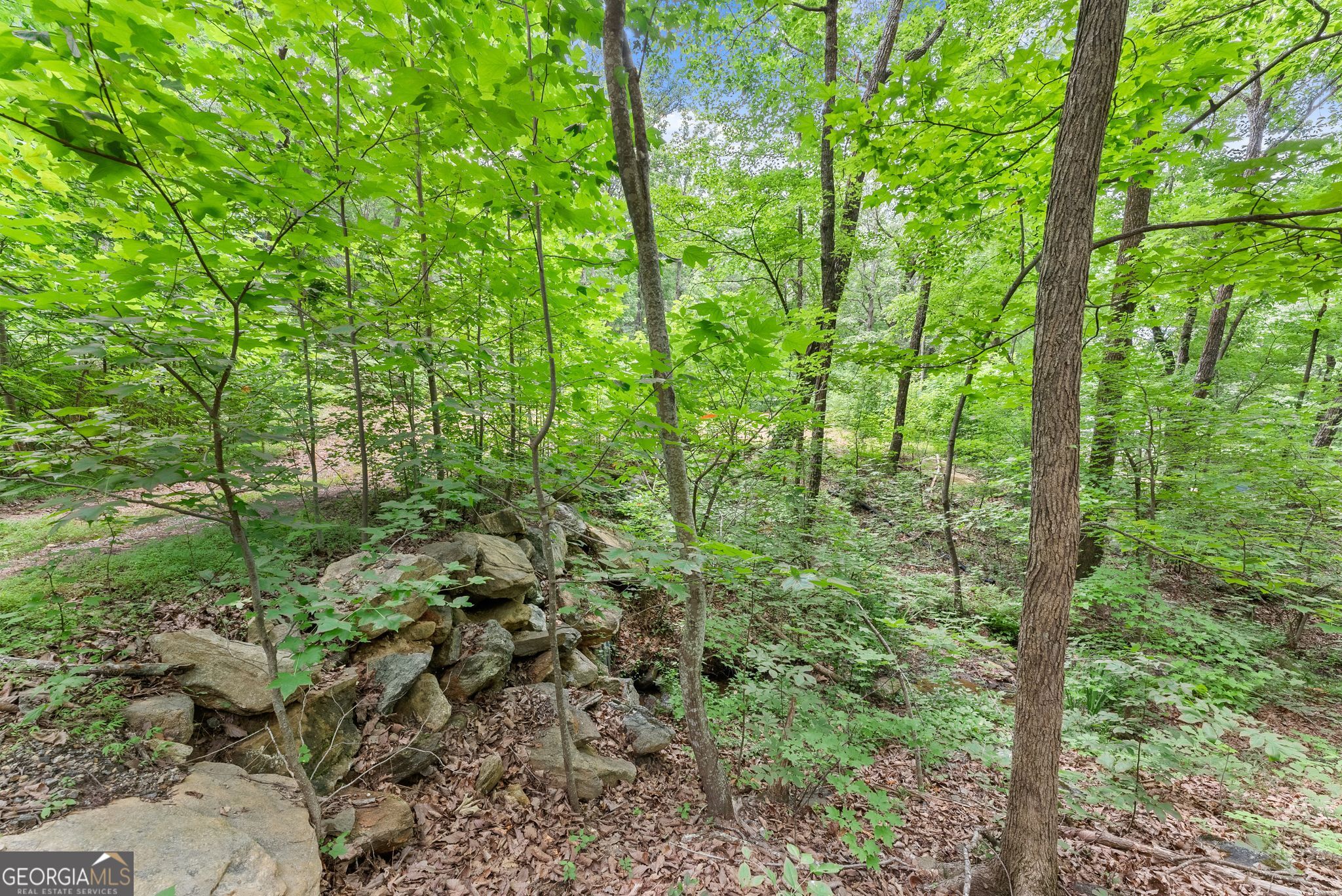 0 Wauka Ridge Road Clermont GA 30527