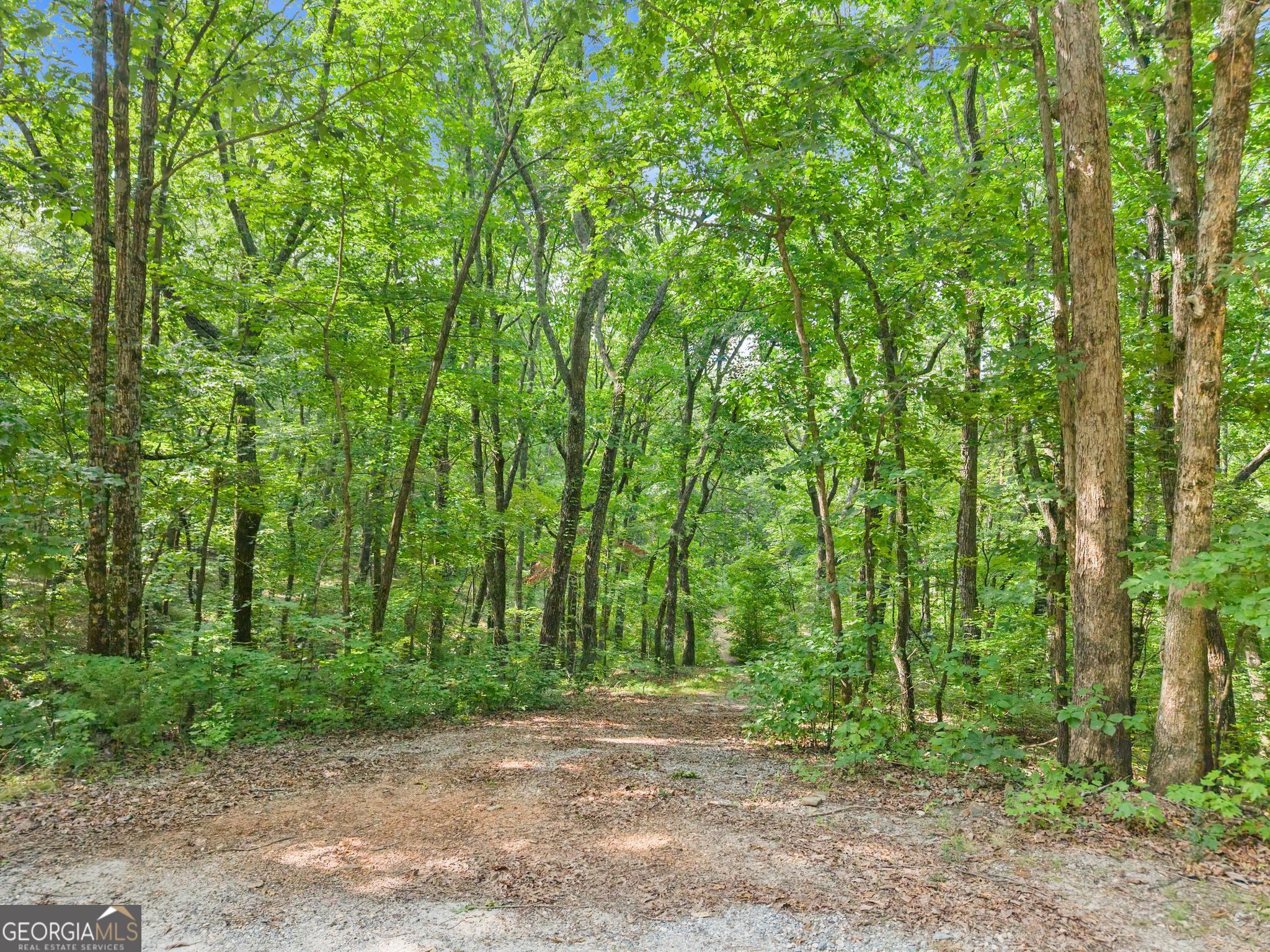 0 Wauka Ridge Road Clermont GA 30527