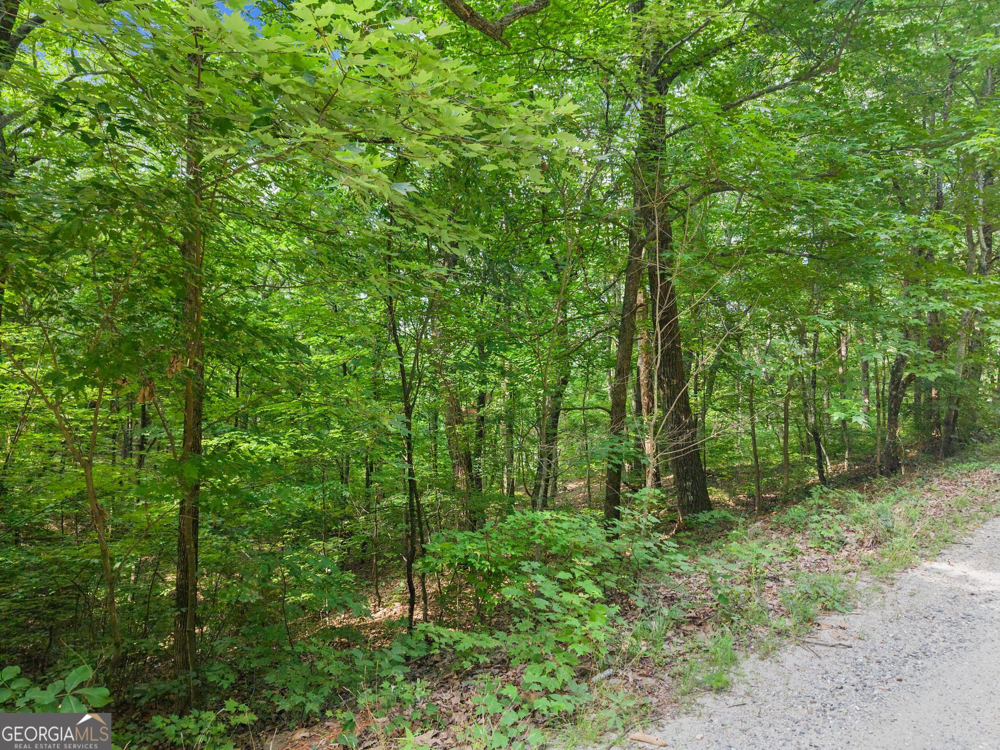 0 Wauka Ridge Road Clermont GA 30527