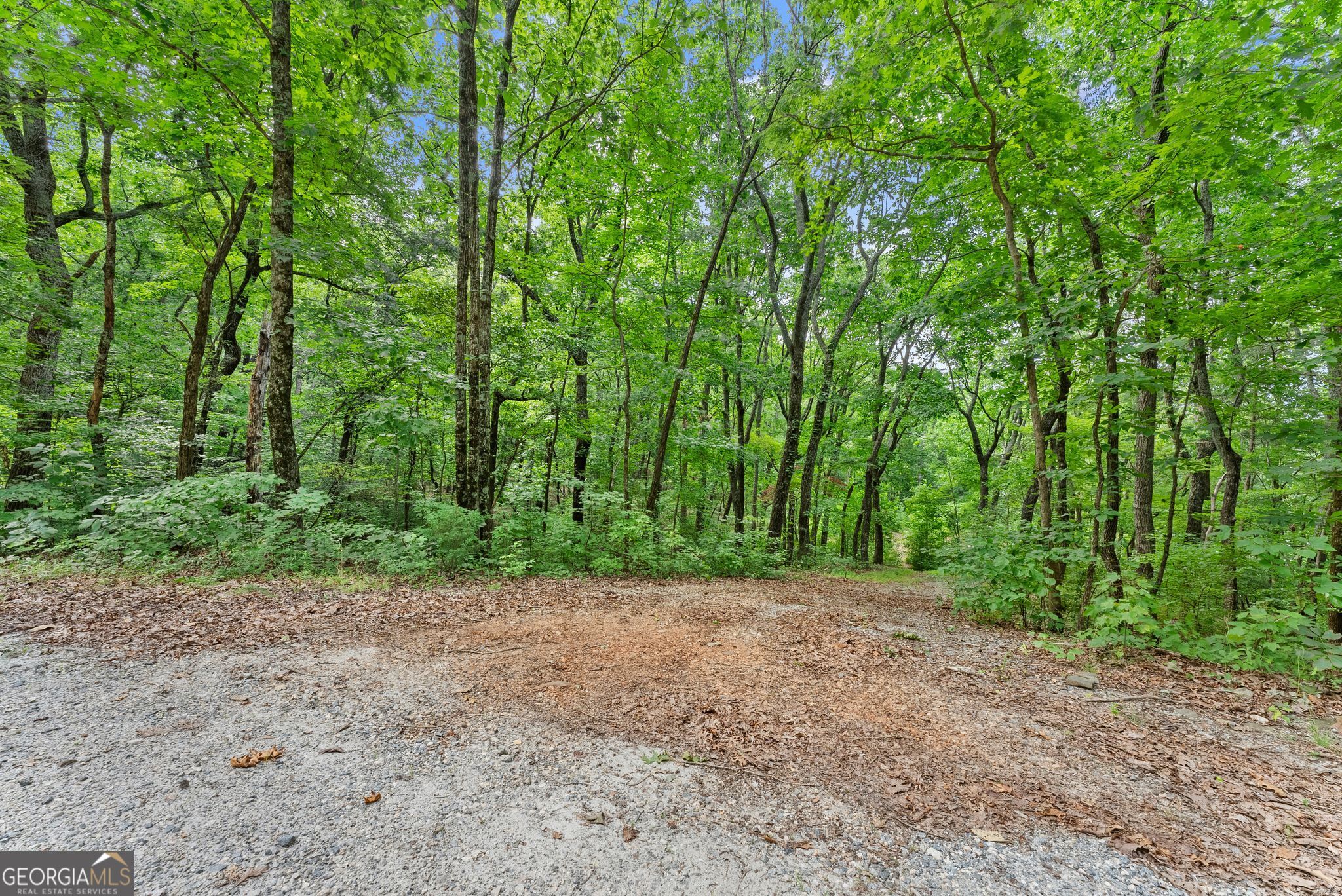 0 Wauka Ridge Road Clermont GA 30527