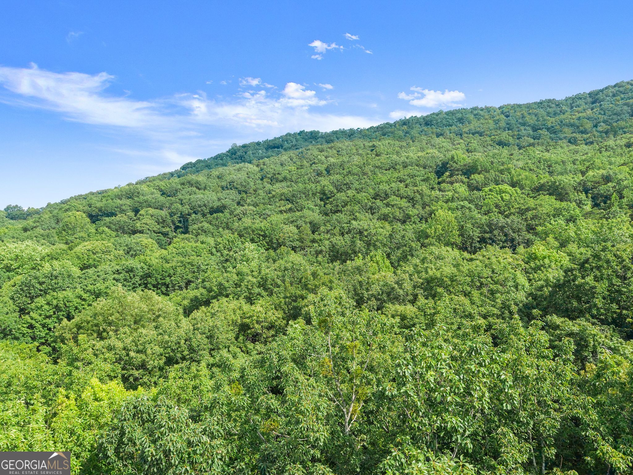 0 Wauka Ridge Road Clermont GA 30527