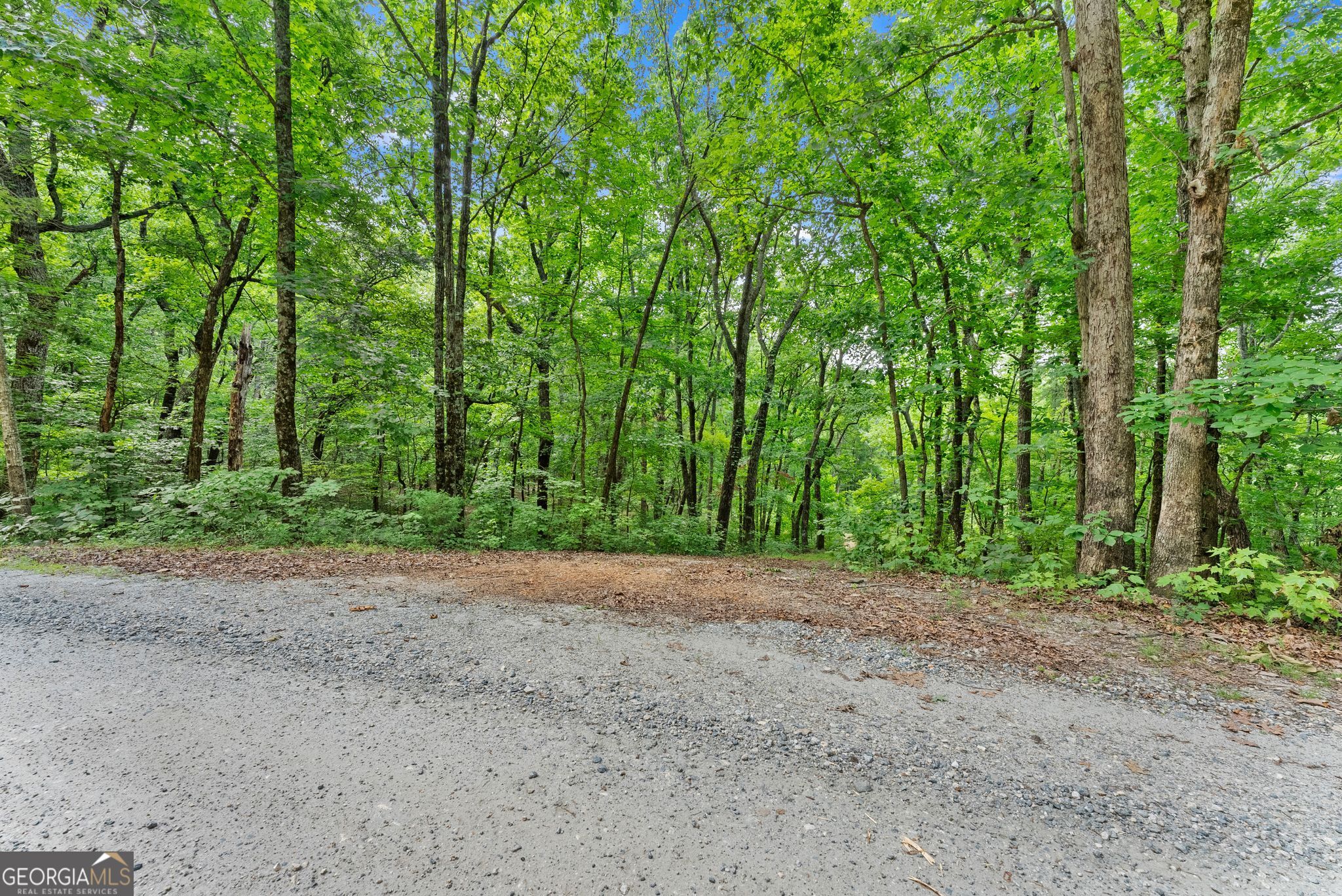 0 Wauka Ridge Road Clermont GA 30527