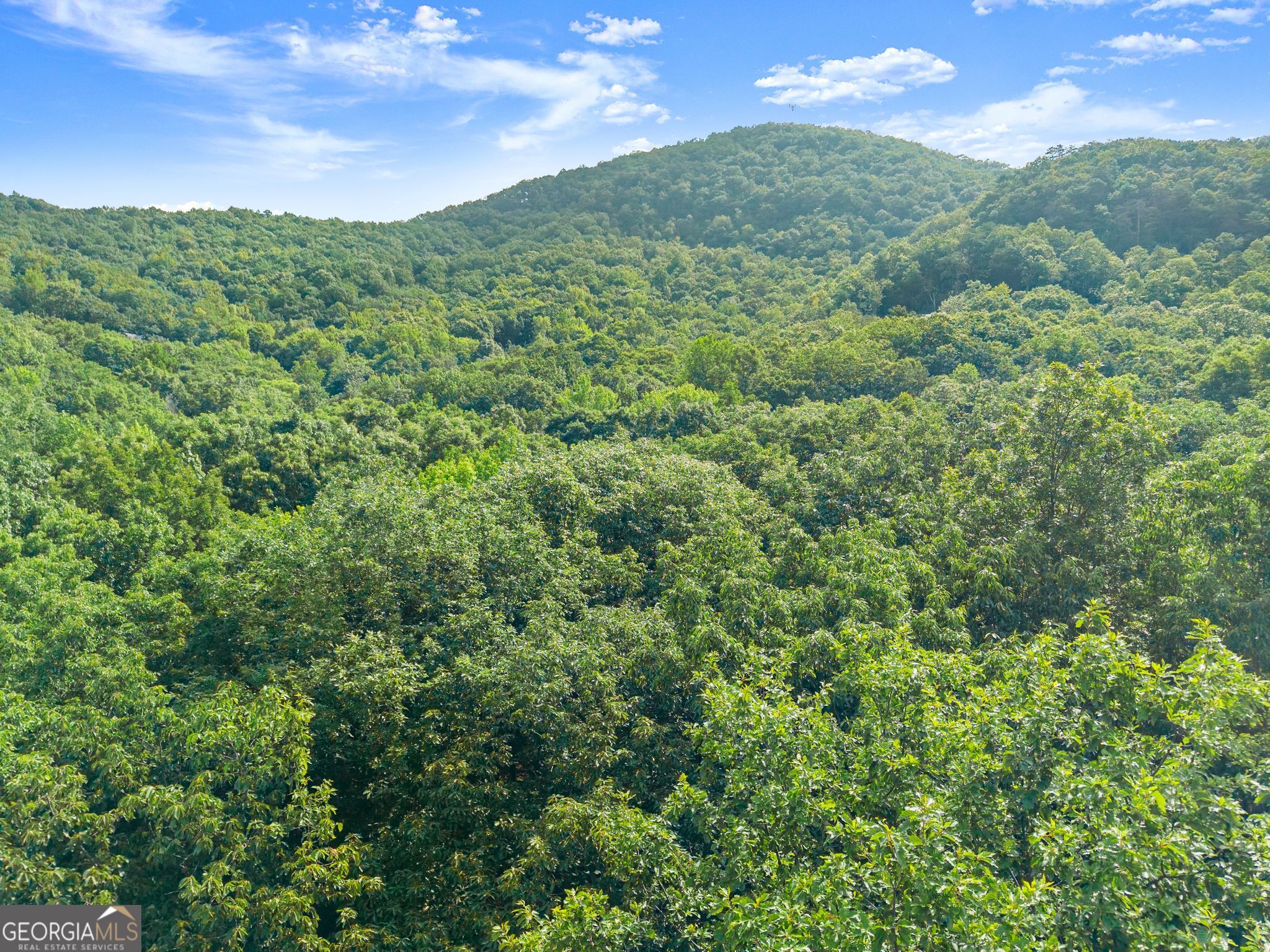 0 Wauka Ridge Road Clermont GA 30527