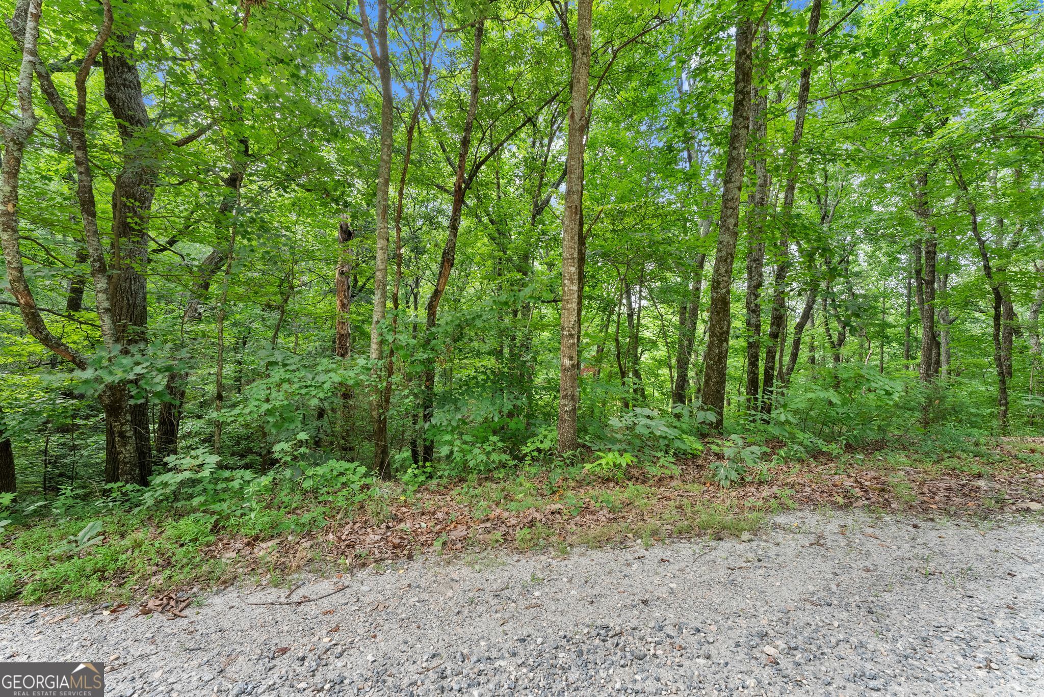0 Wauka Ridge Road Clermont GA 30527