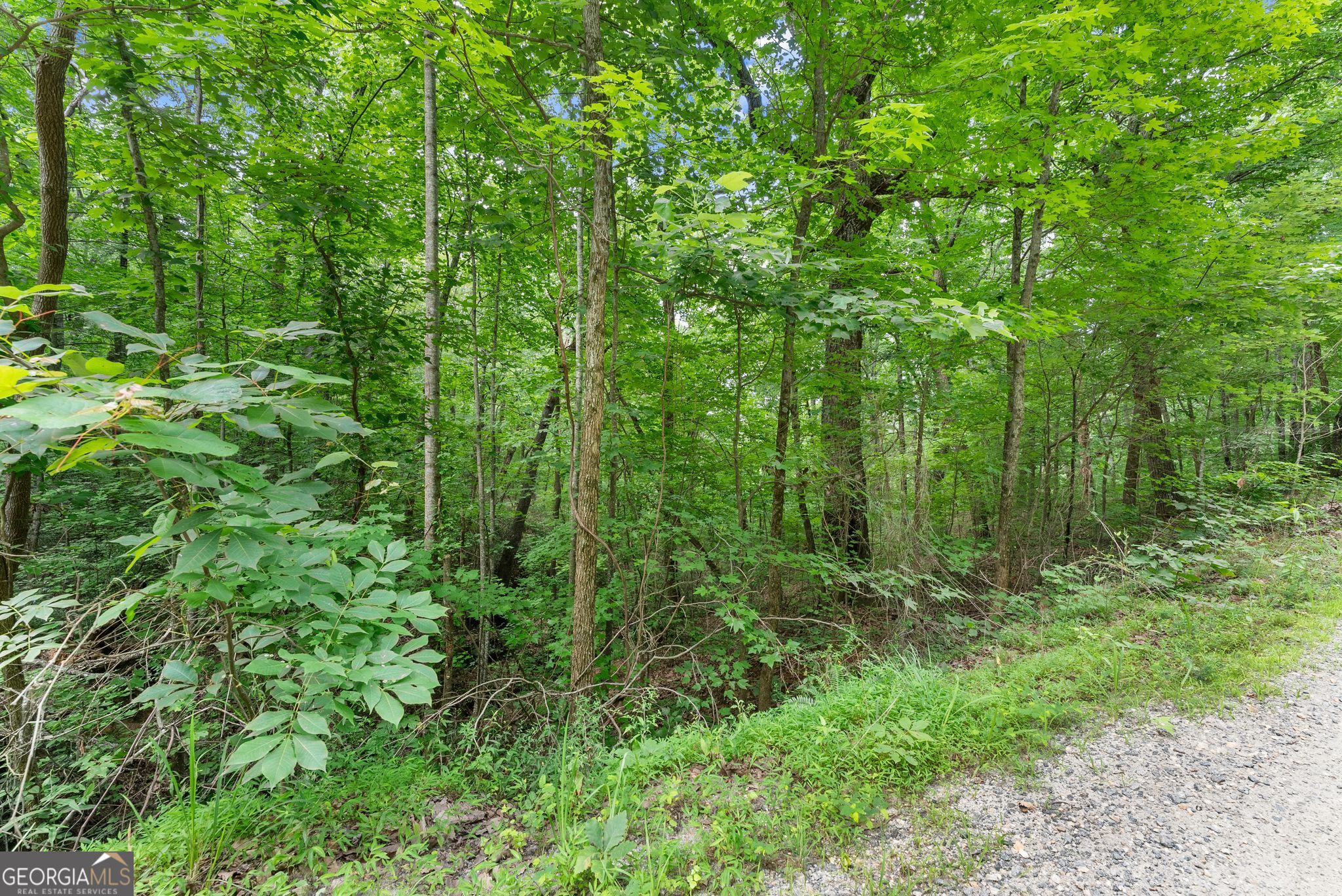 0 Wauka Ridge Road Clermont GA 30527