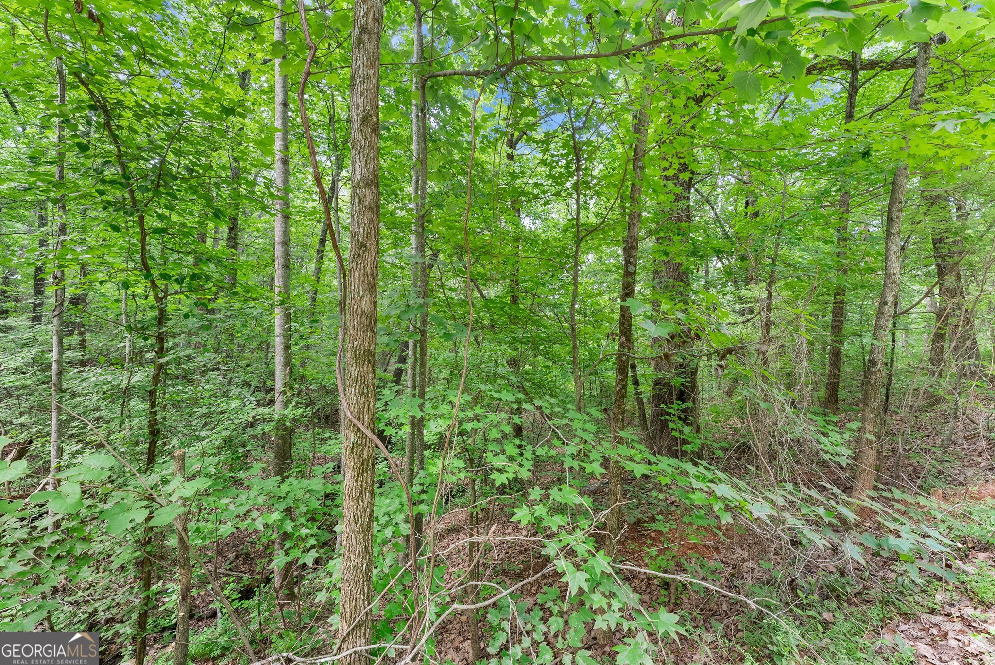 0 Wauka Ridge Road Clermont GA 30527