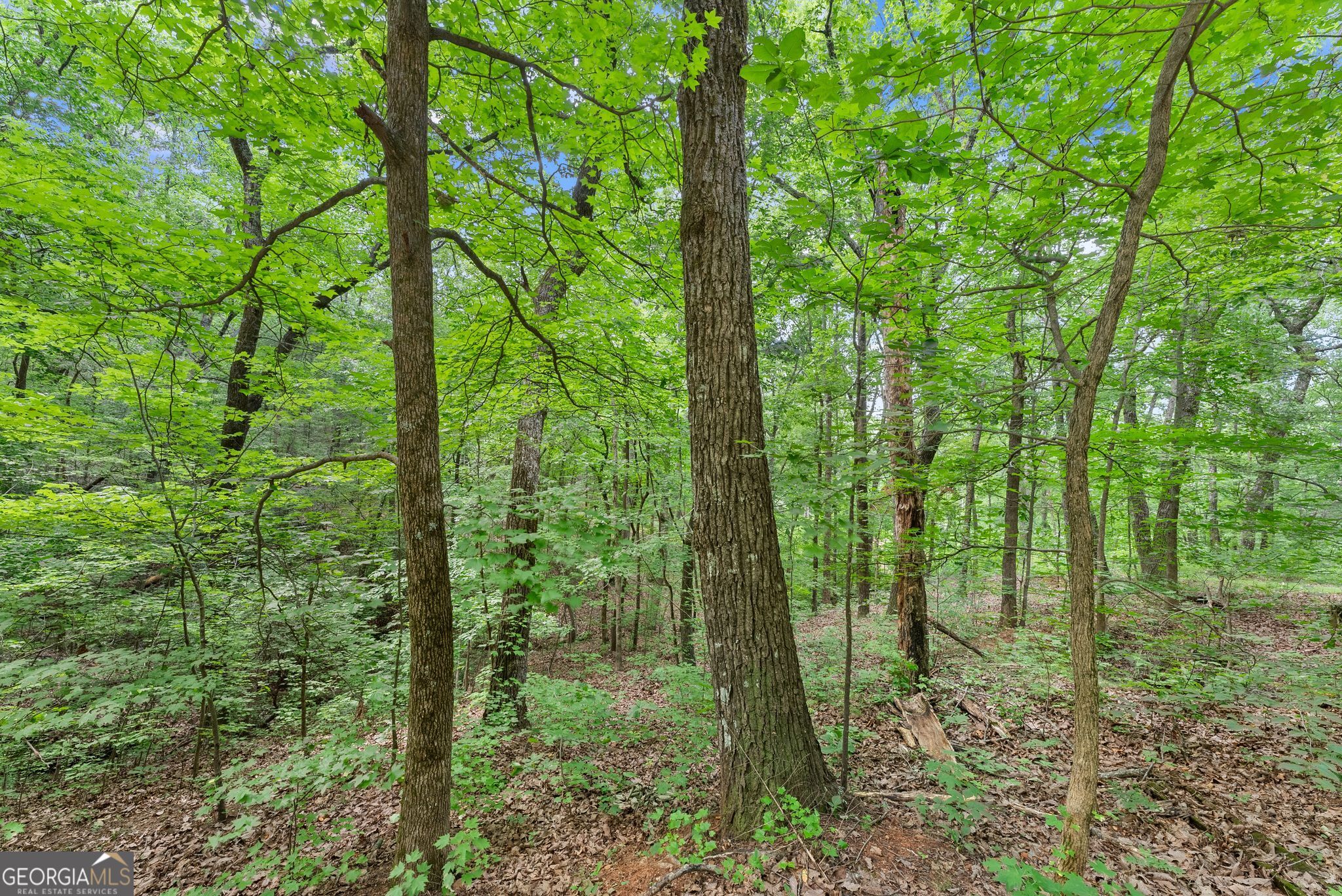 0 Wauka Ridge Road Clermont GA 30527