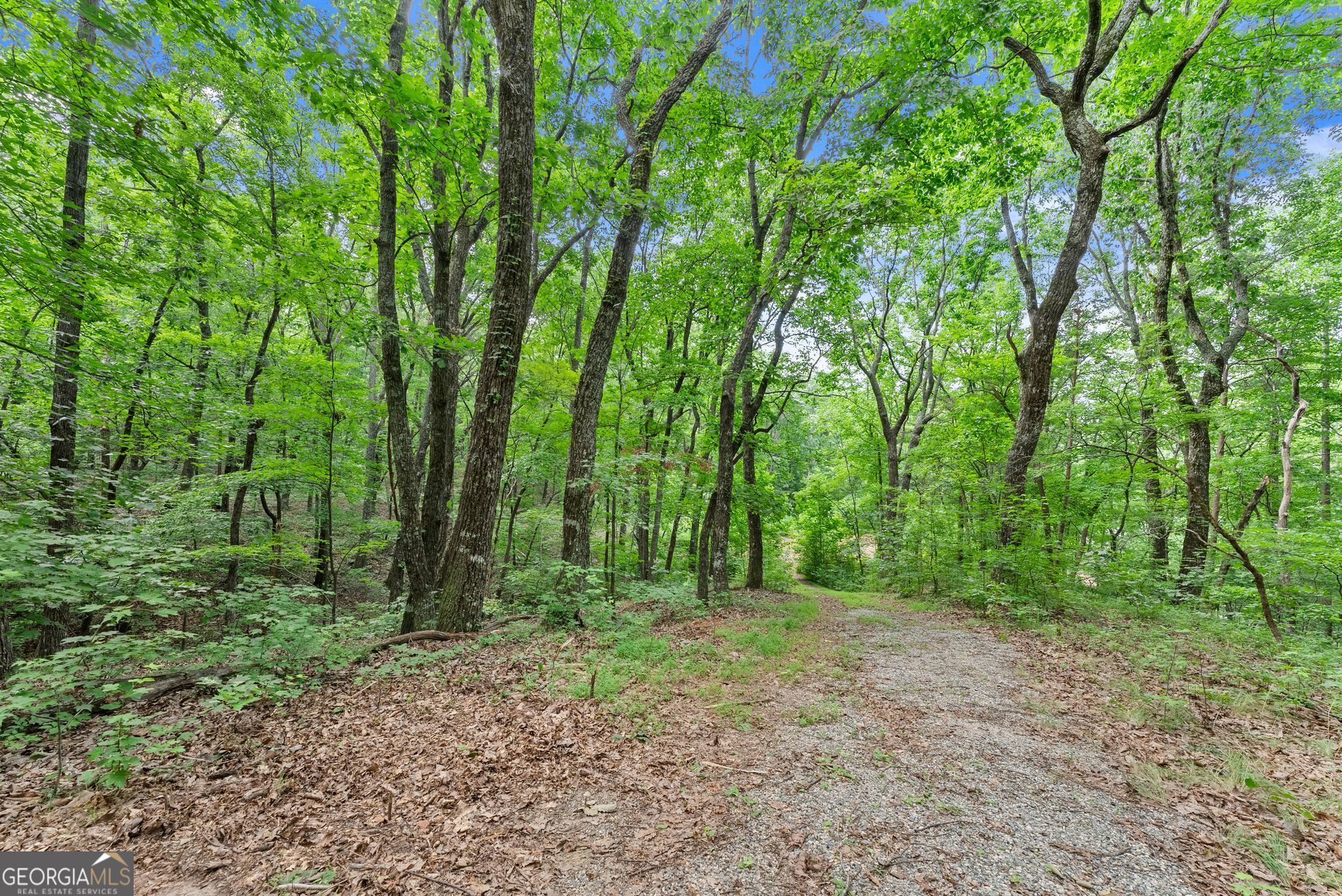 0 Wauka Ridge Road Clermont GA 30527