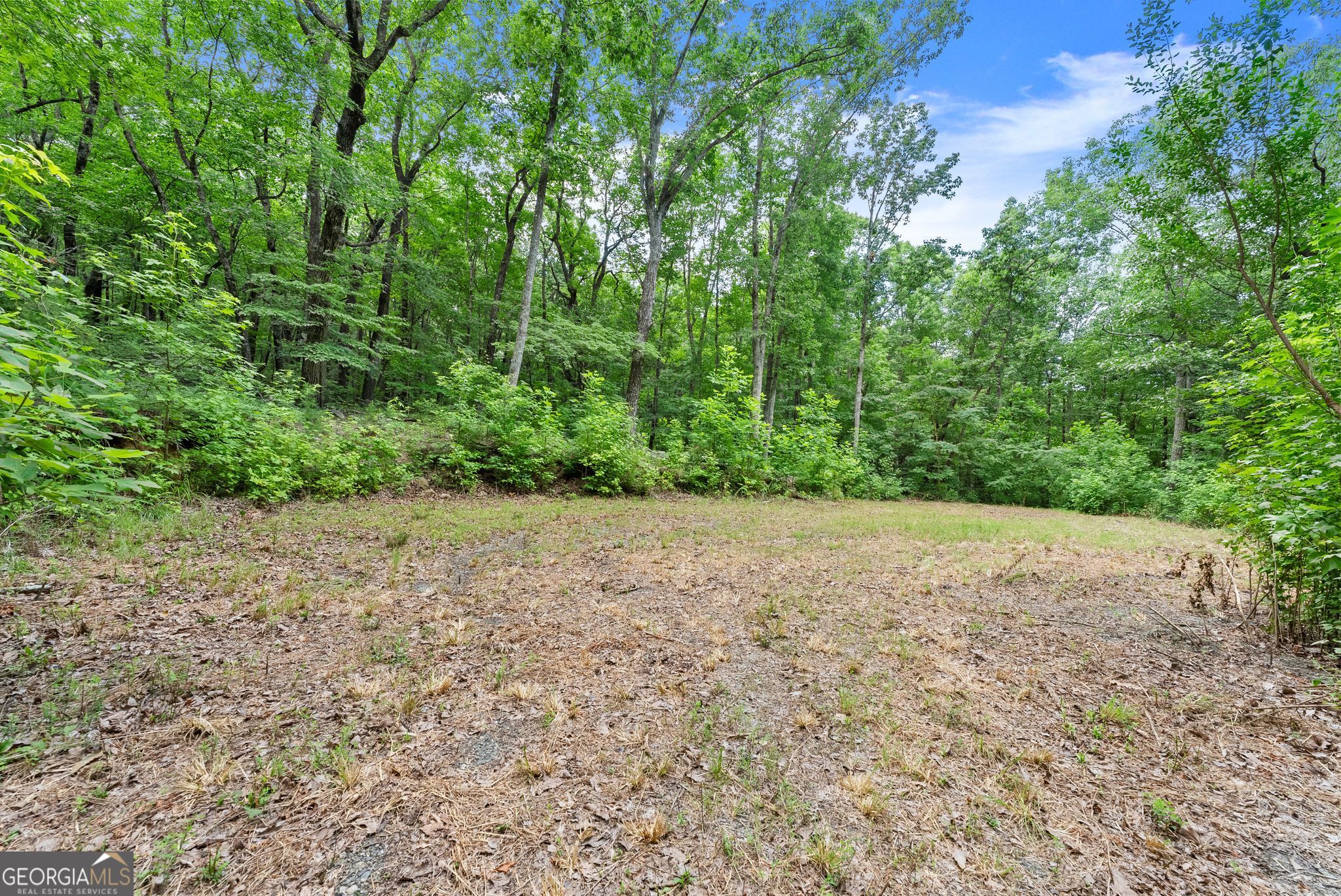 0 Wauka Ridge Road Clermont GA 30527