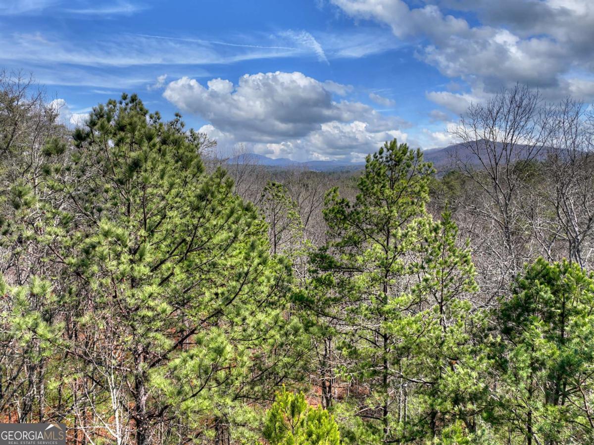 1489 Boy Scout Road Blairsville GA 30512