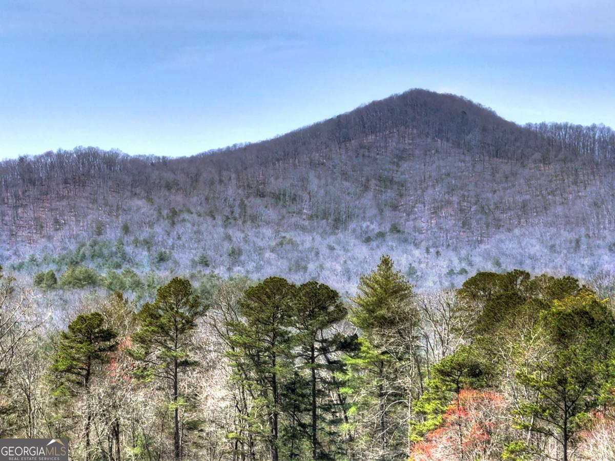 1489 Boy Scout Road Blairsville GA 30512
