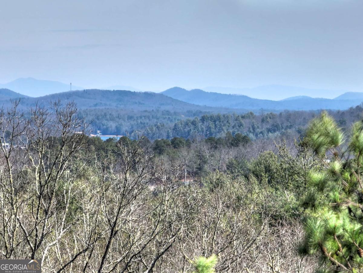 1489 Boy Scout Road Blairsville GA 30512