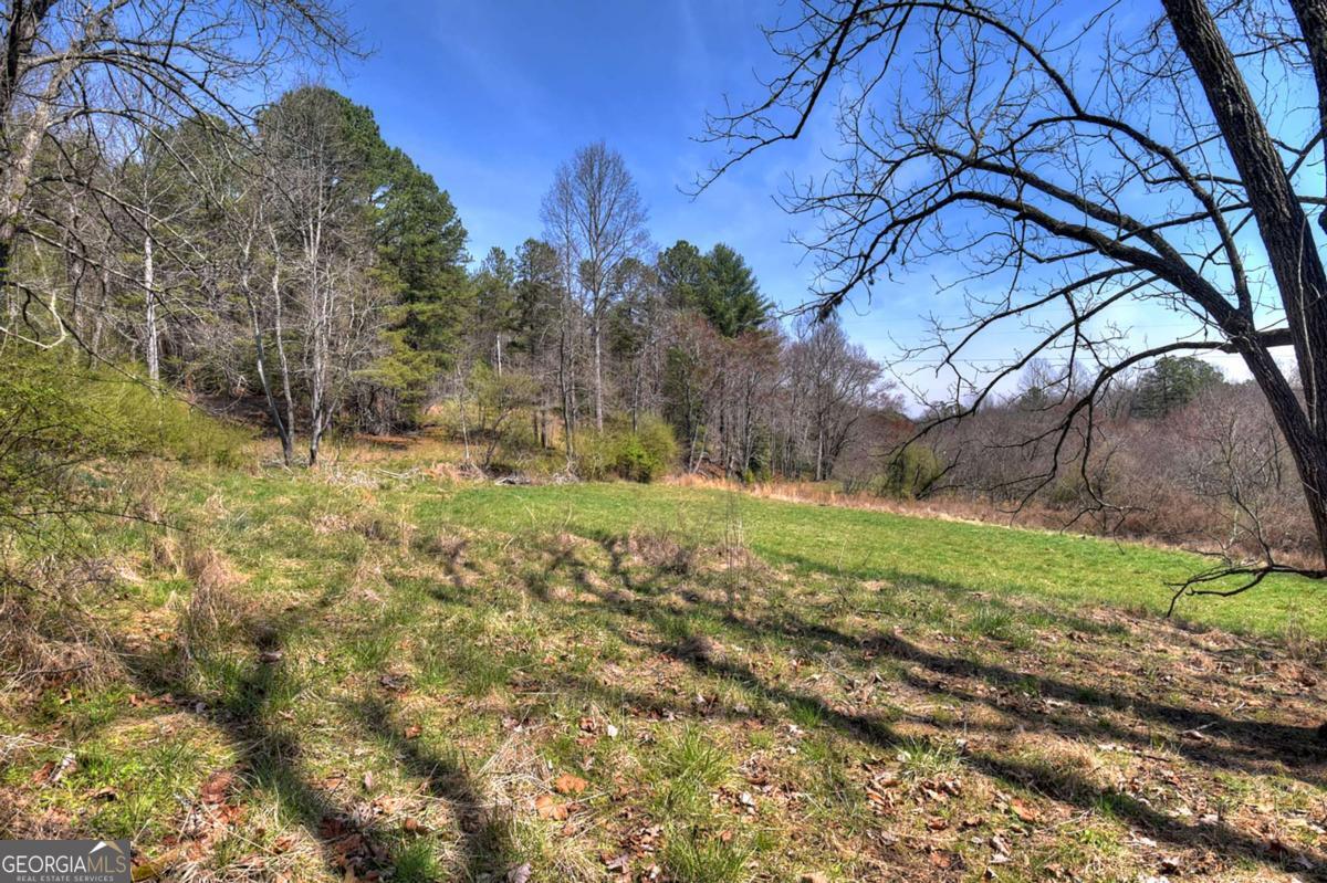 1489 Boy Scout Road Blairsville GA 30512
