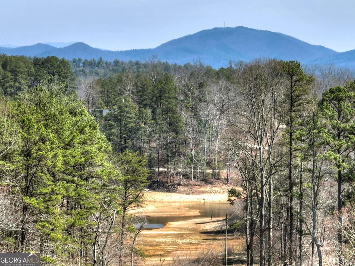 1489 Boy Scout Road Blairsville GA 30512
