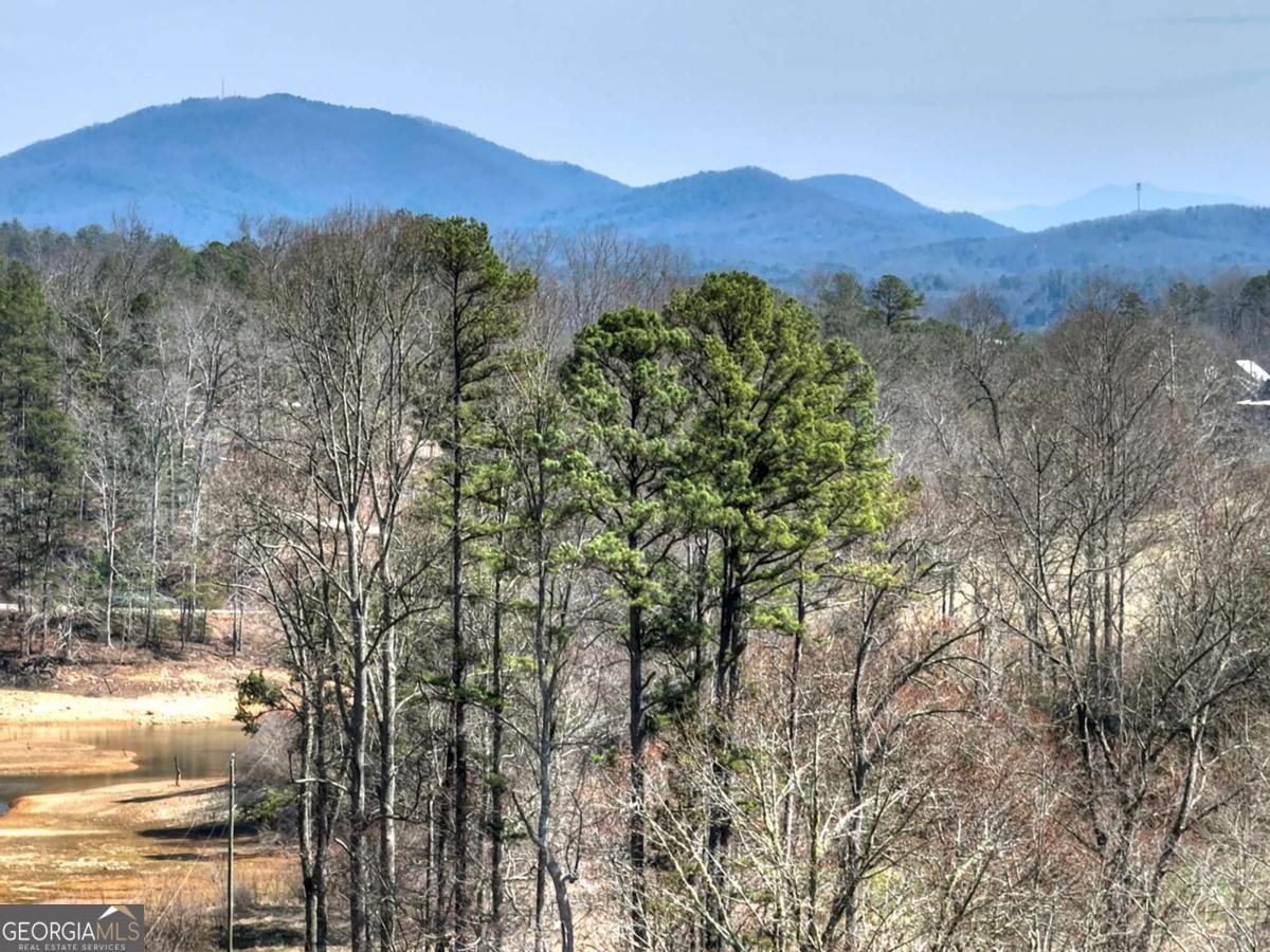 1489 Boy Scout Road Blairsville GA 30512