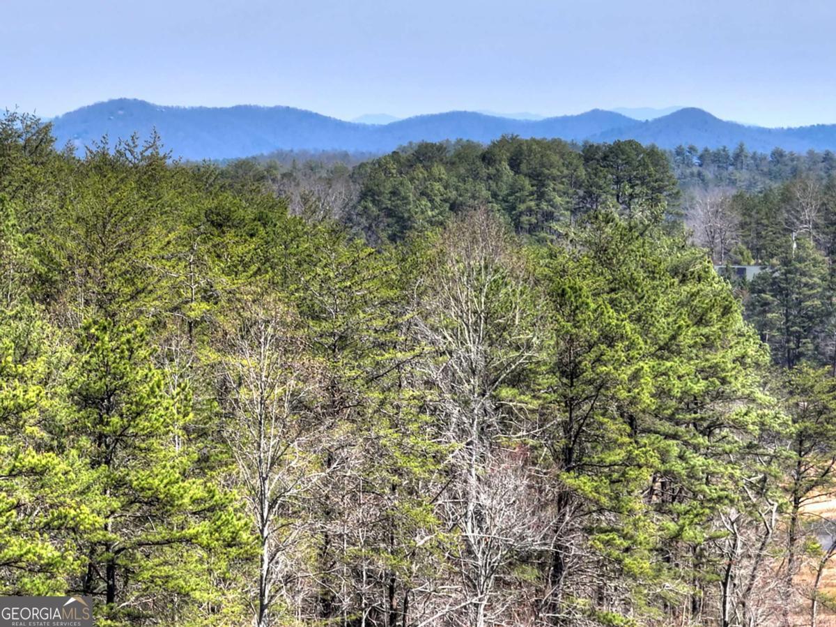1489 Boy Scout Road Blairsville GA 30512