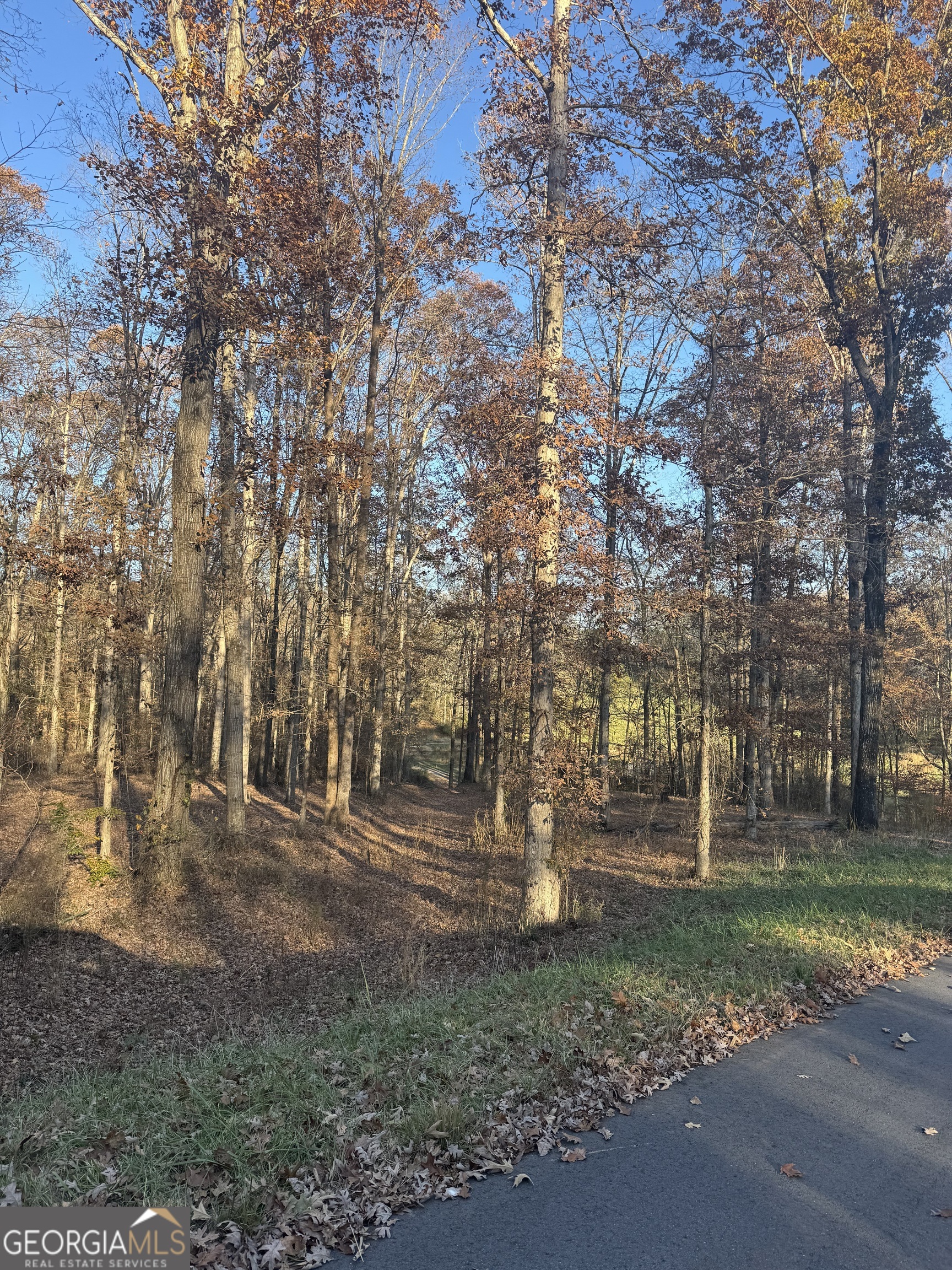 1475 Whispering Way Statham GA 30666