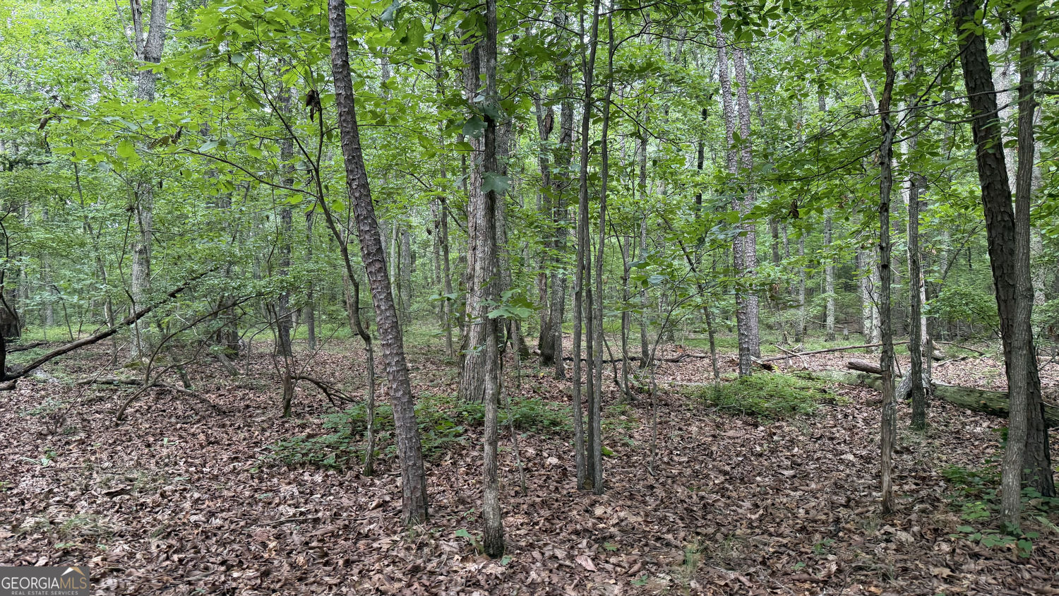 0 Dublin Circle Kingston GA 30145