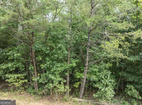 24 Brookhaven Drive Young Harris GA 30582