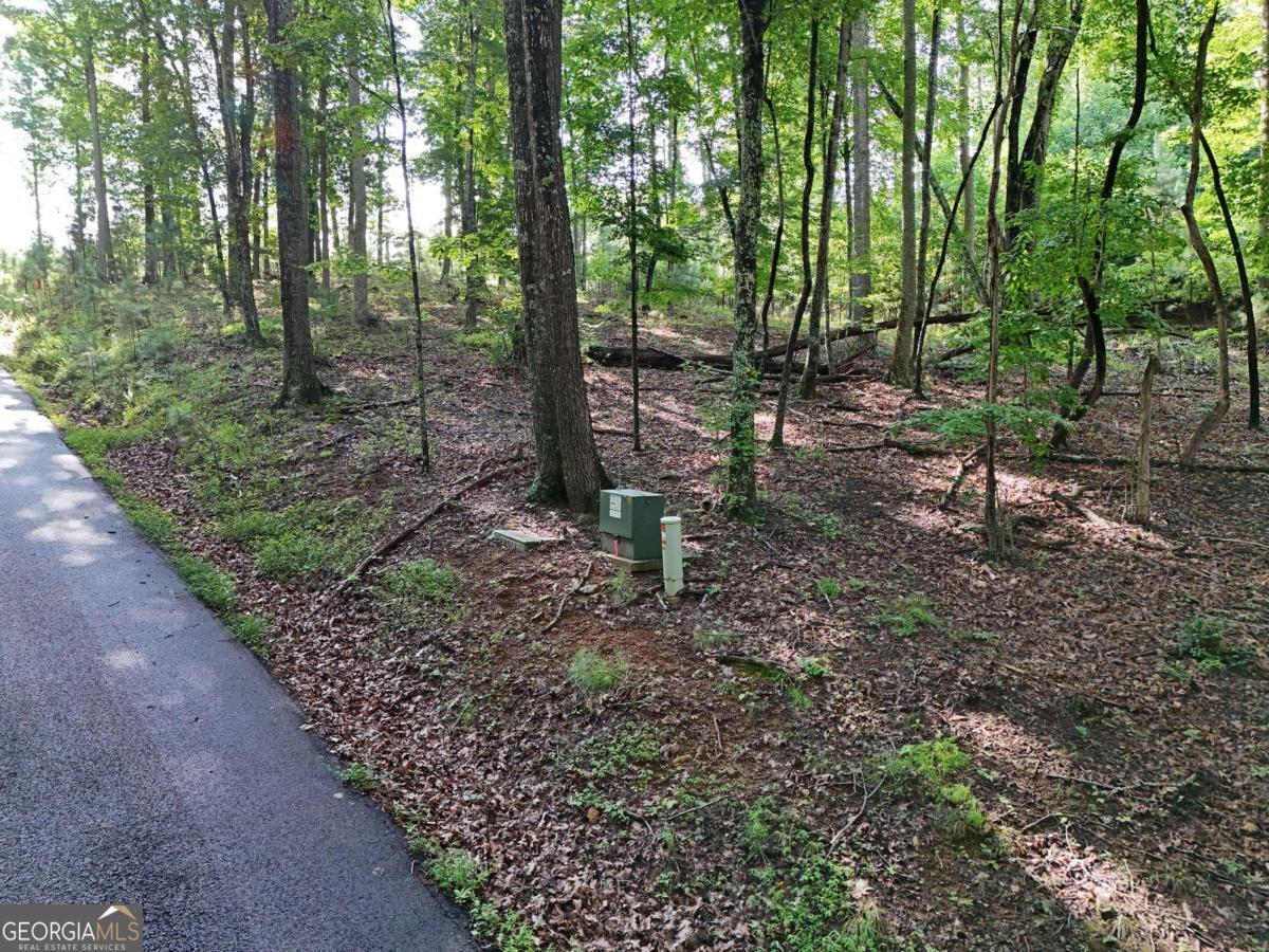 Lot 100 Valley Crest Drive Blairsville GA 30512