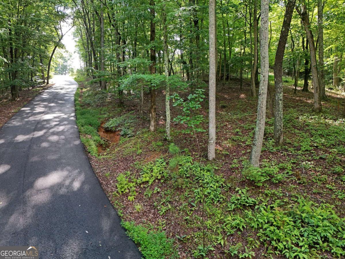 Lot 100 Valley Crest Drive Blairsville GA 30512