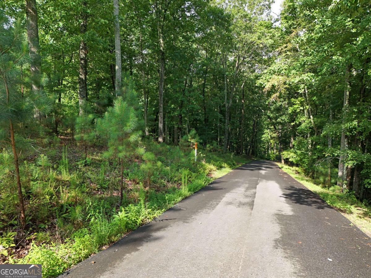 Lot 100 Valley Crest Drive Blairsville GA 30512