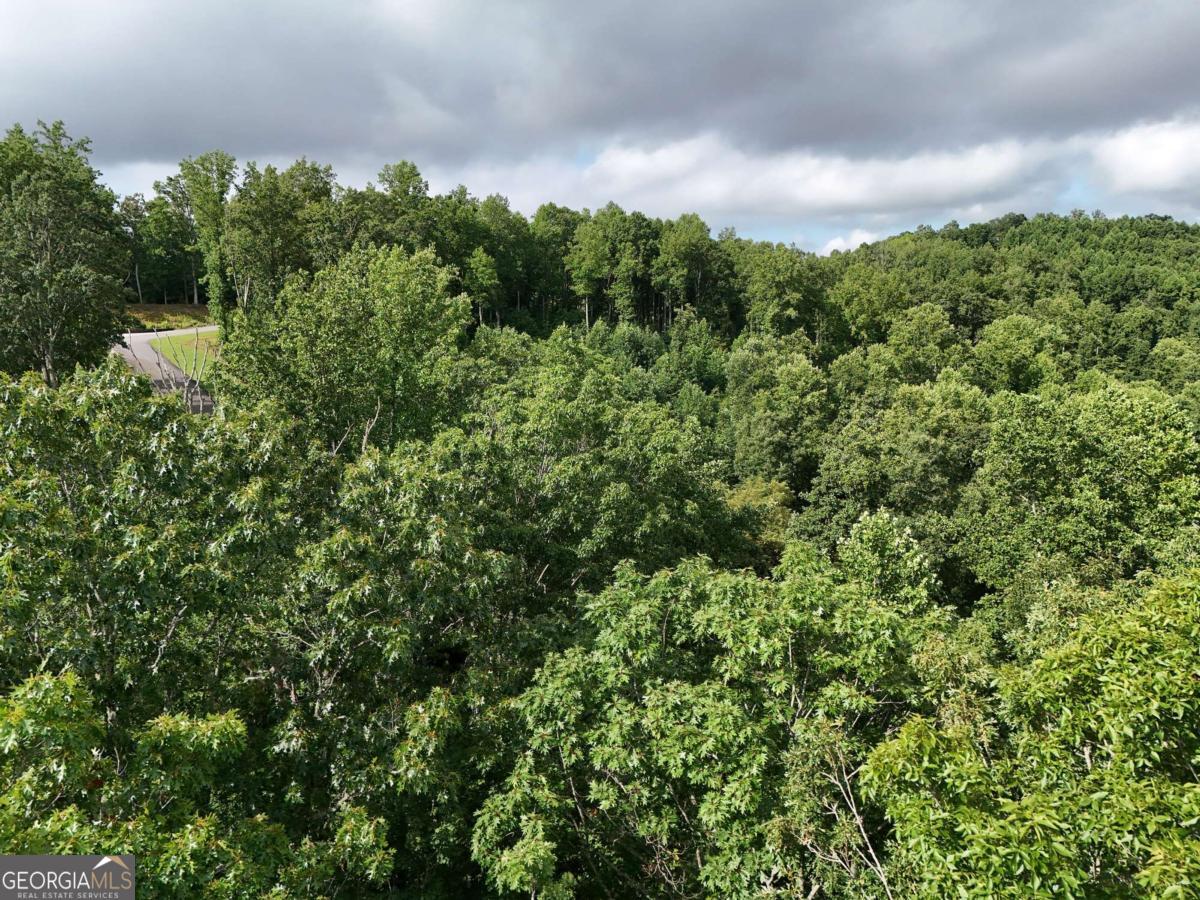 Lot 100 Valley Crest Drive Blairsville GA 30512