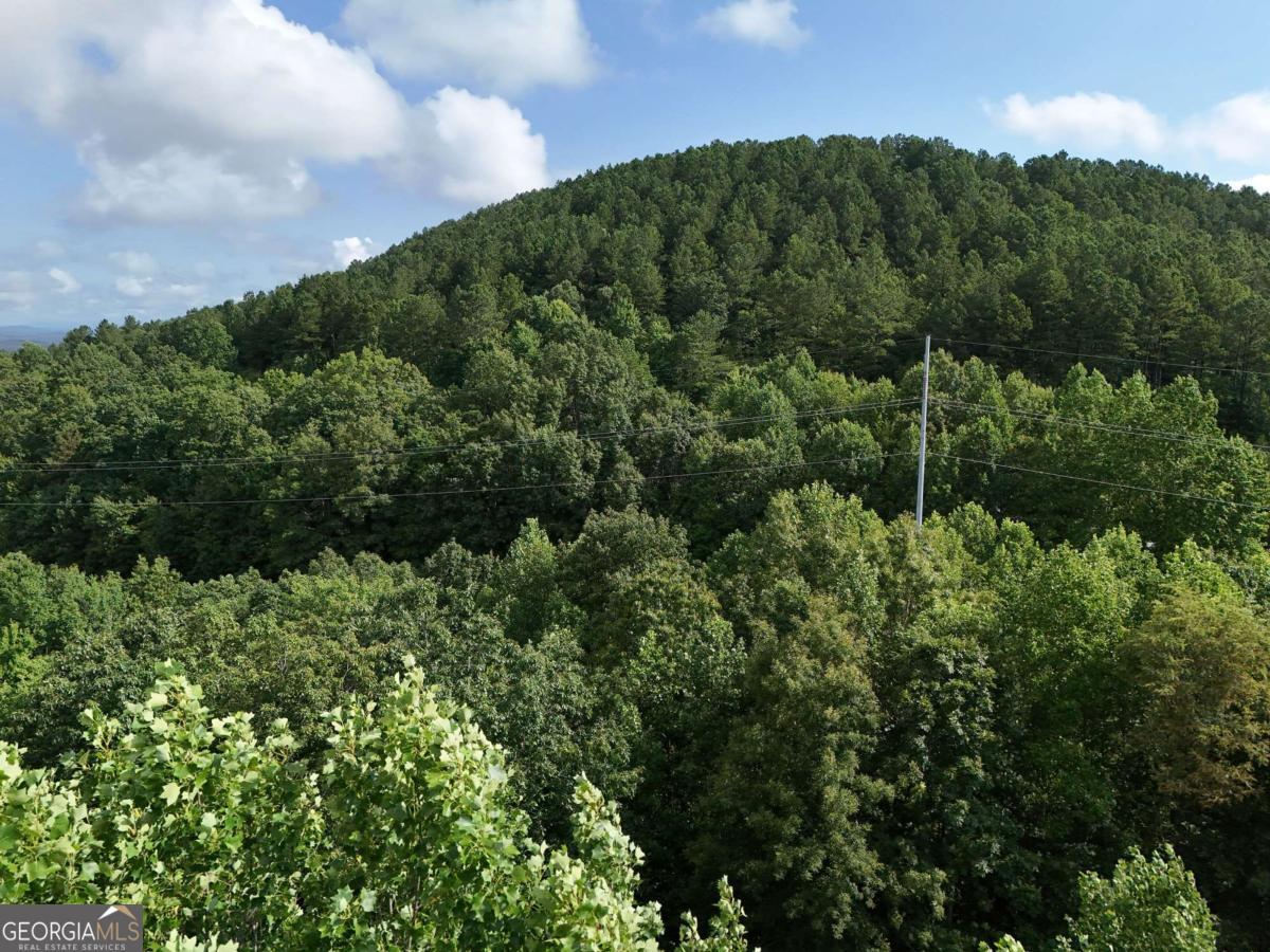 Lot 100 Valley Crest Drive Blairsville GA 30512