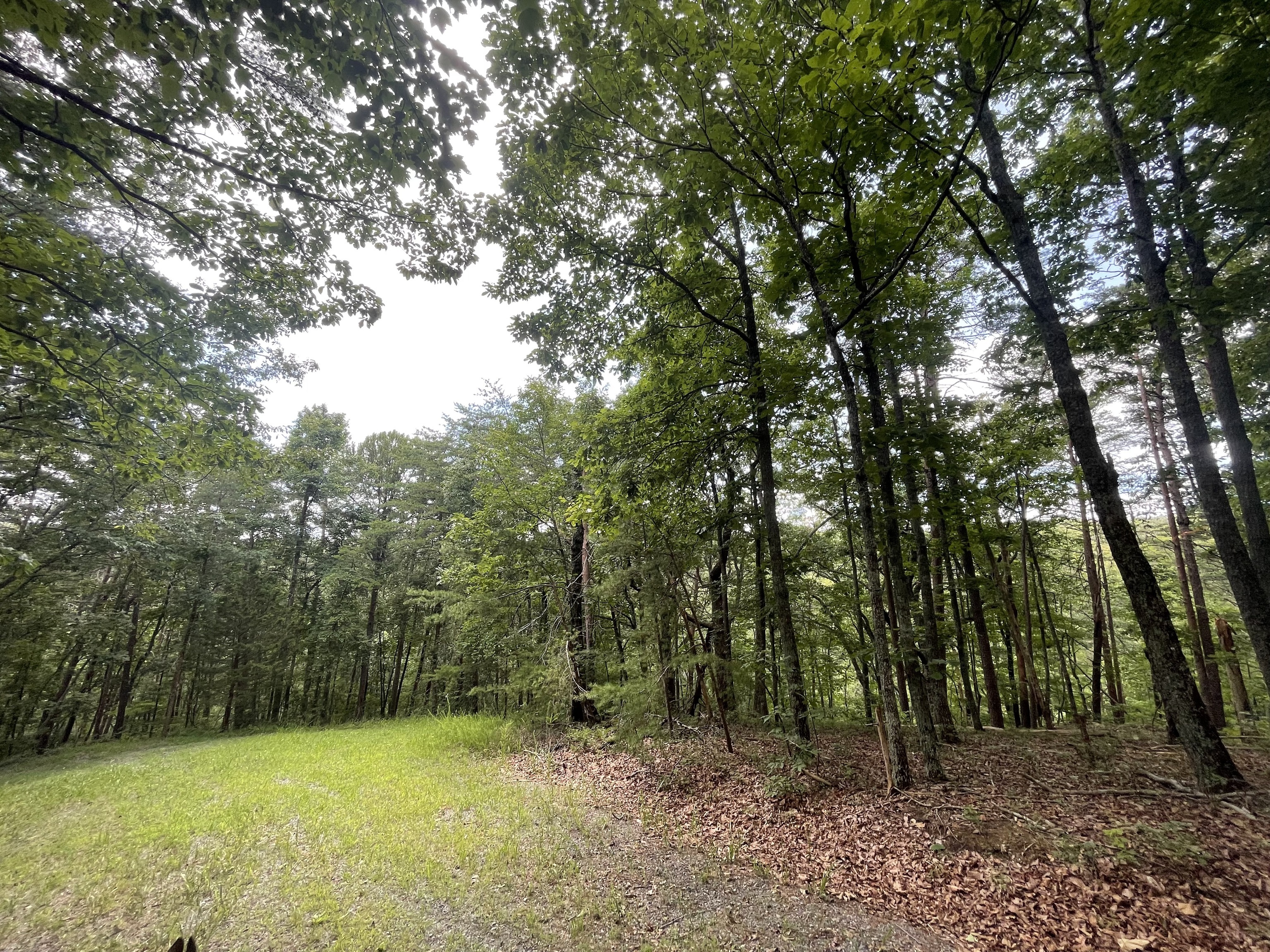 1510 Drew Court Ranger GA 30734