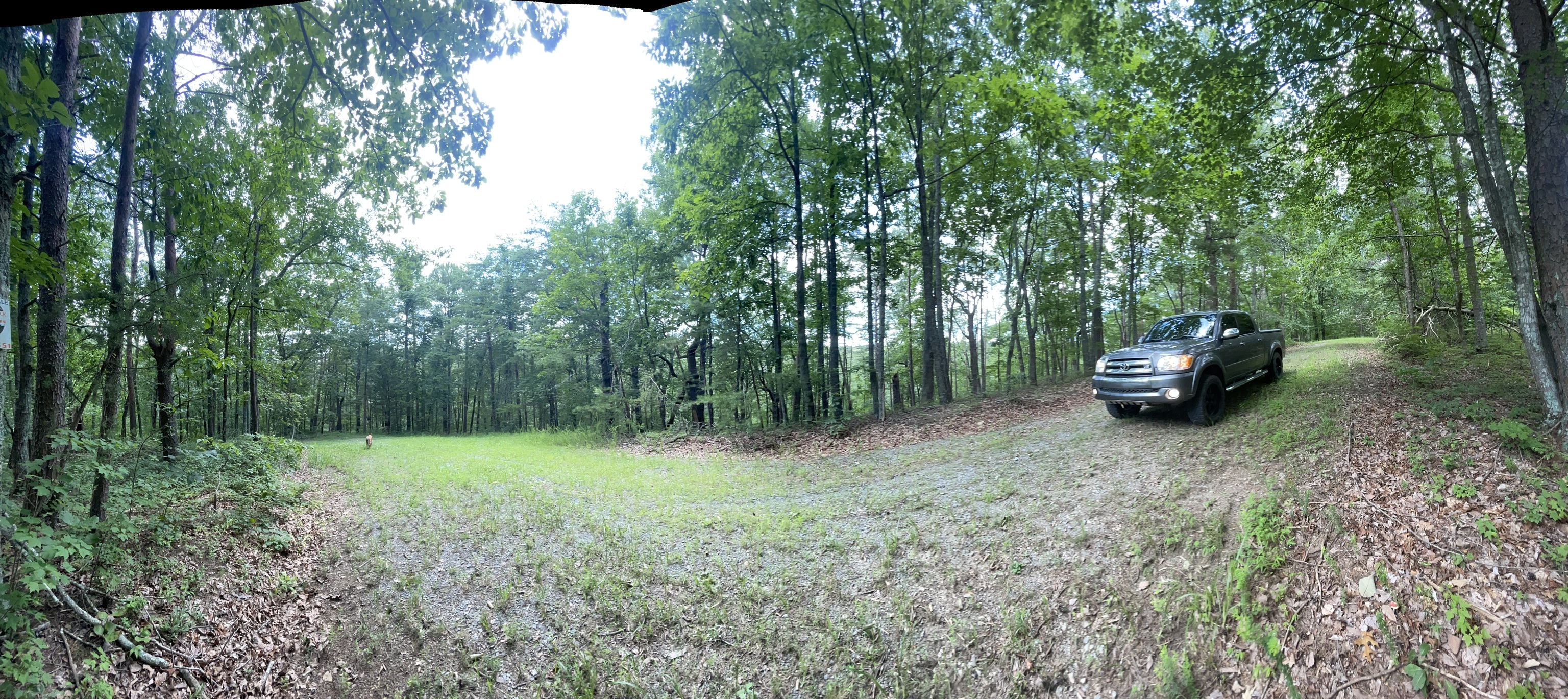 1510 Drew Court Ranger GA 30734
