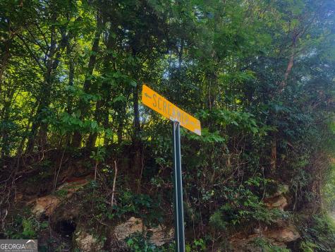 0 Screamer Drive Clayton GA 30525