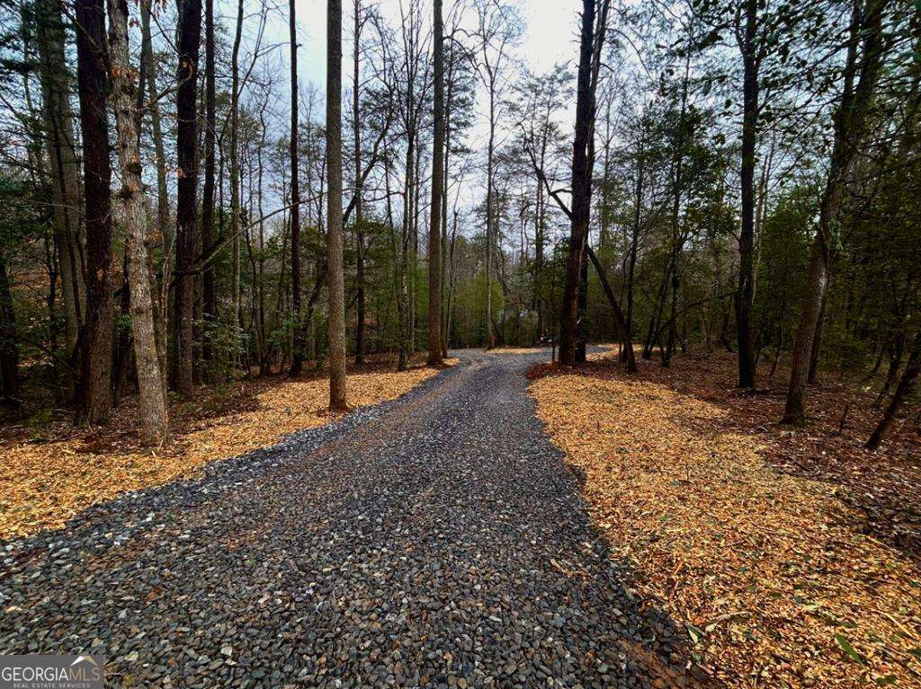 0 Grace Drive Blue Ridge GA 30513