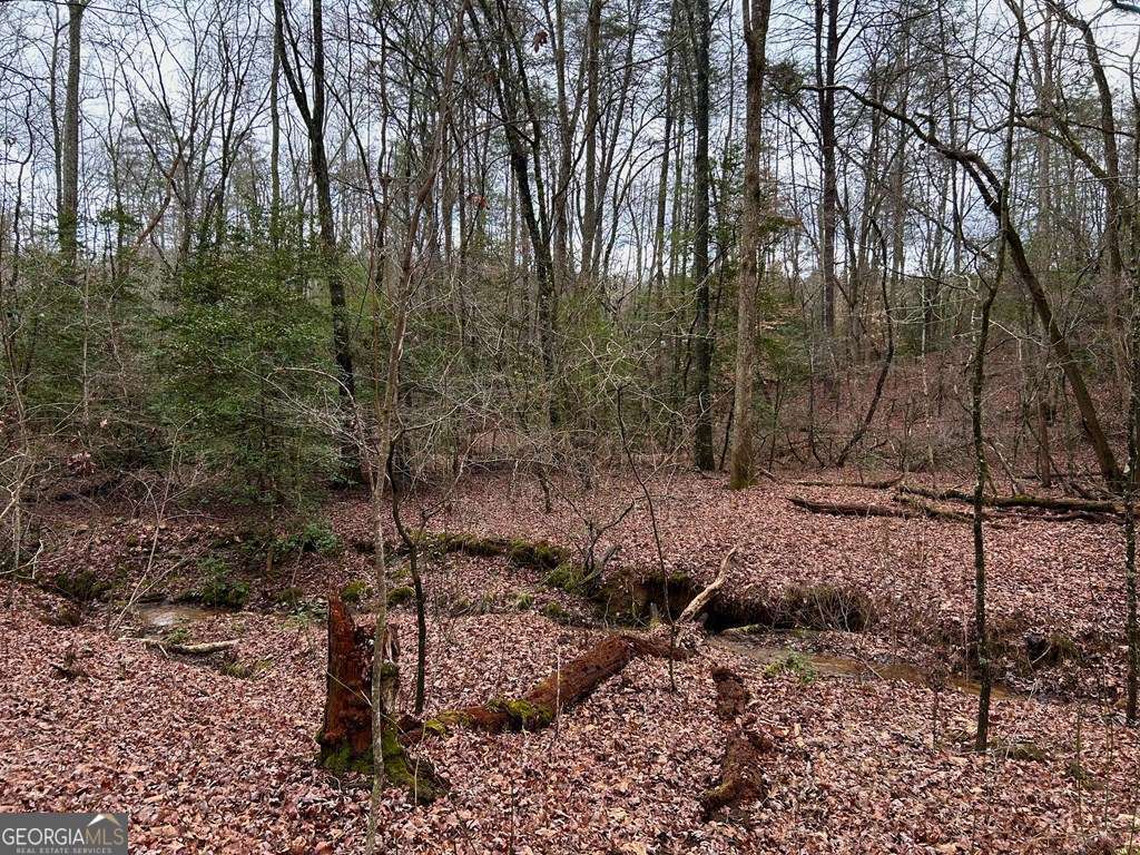 0 Grace Drive Blue Ridge GA 30513