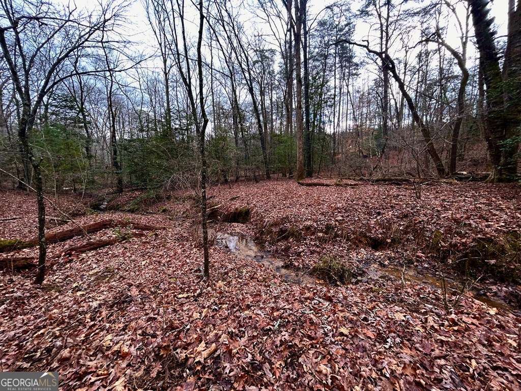 0 Grace Drive Blue Ridge GA 30513