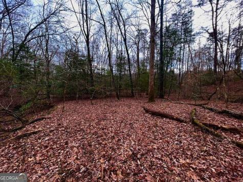 0 Grace Drive Blue Ridge GA 30513