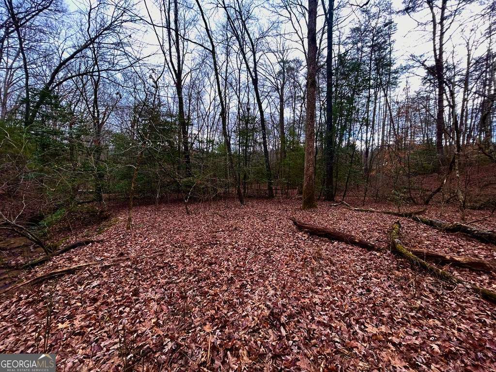 0 Grace Drive Blue Ridge GA 30513