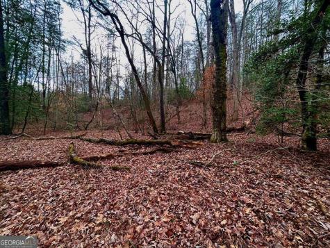 0 Grace Drive Blue Ridge GA 30513