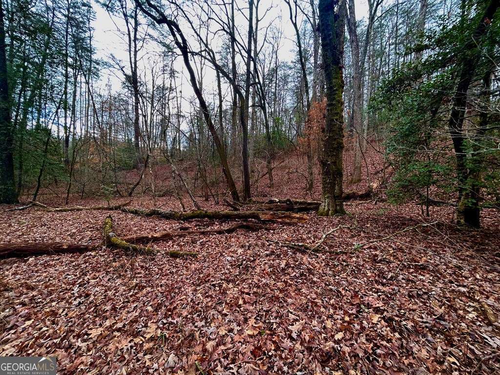 0 Grace Drive Blue Ridge GA 30513