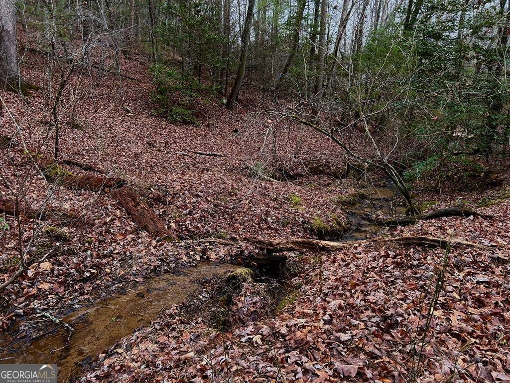 0 Grace Drive Blue Ridge GA 30513
