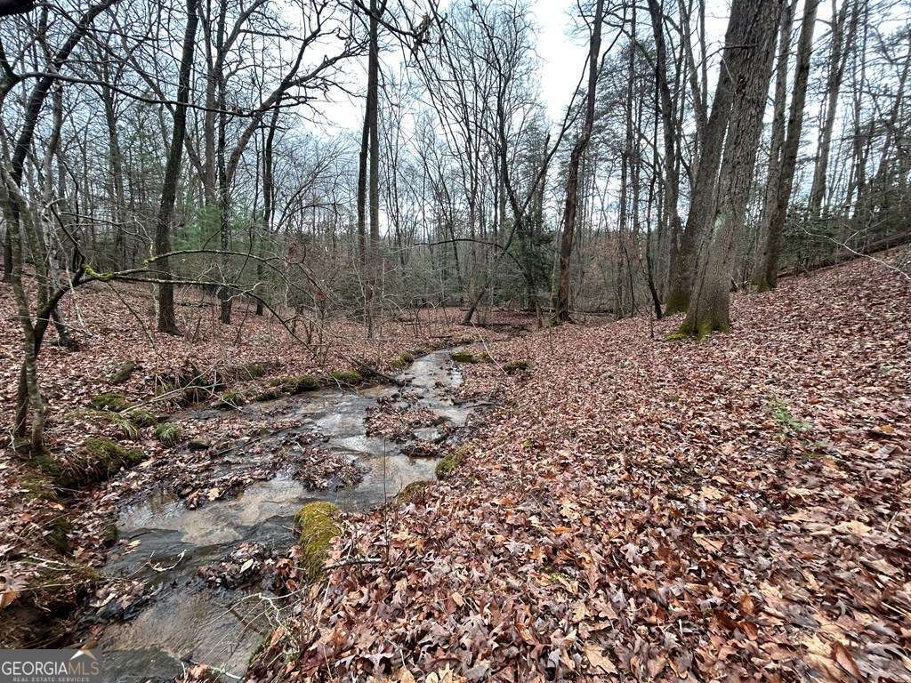 0 Grace Drive Blue Ridge GA 30513