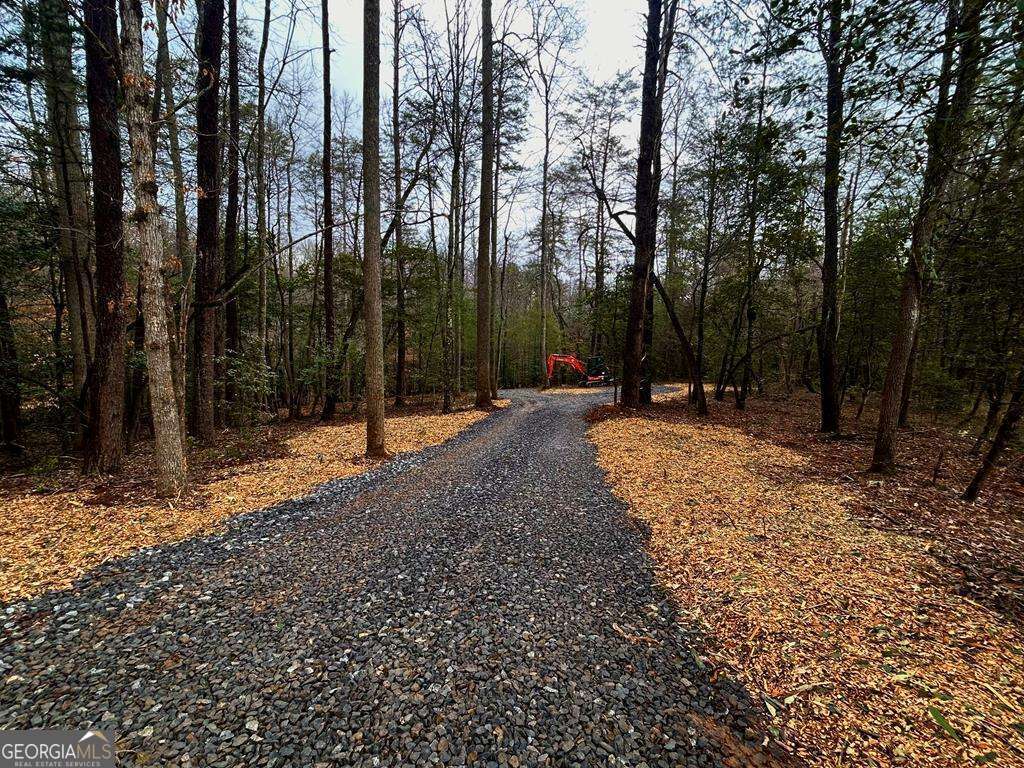 0 Grace Drive Blue Ridge GA 30513