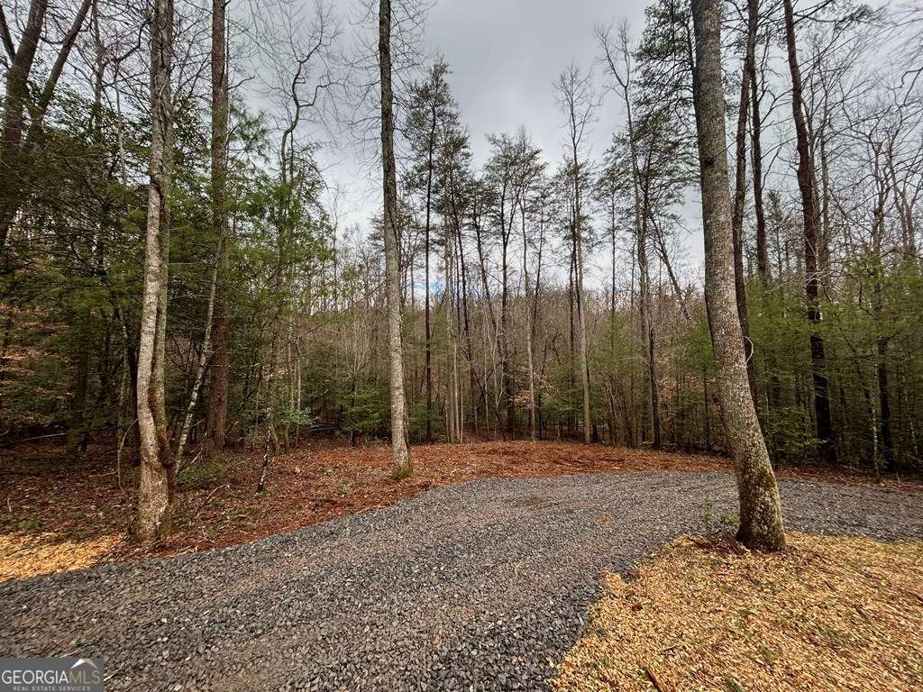 0 Grace Drive Blue Ridge GA 30513