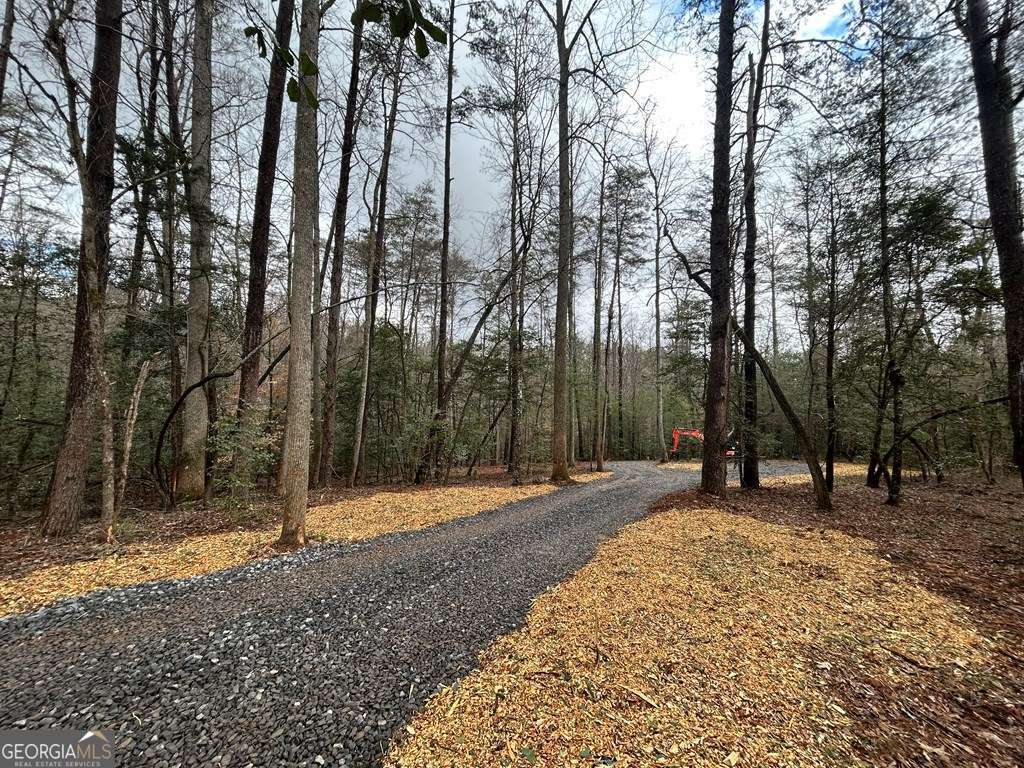 0 Grace Drive Blue Ridge GA 30513